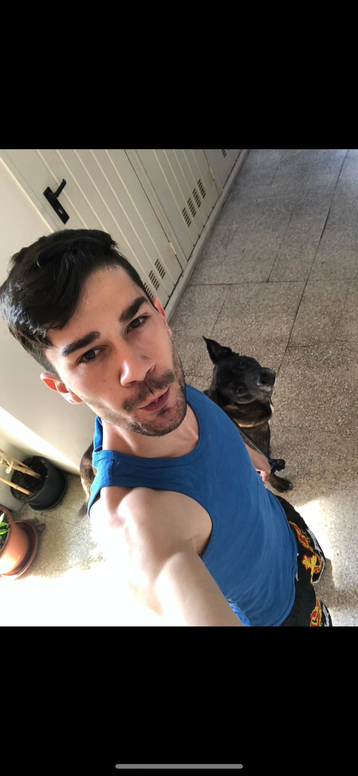 image-6