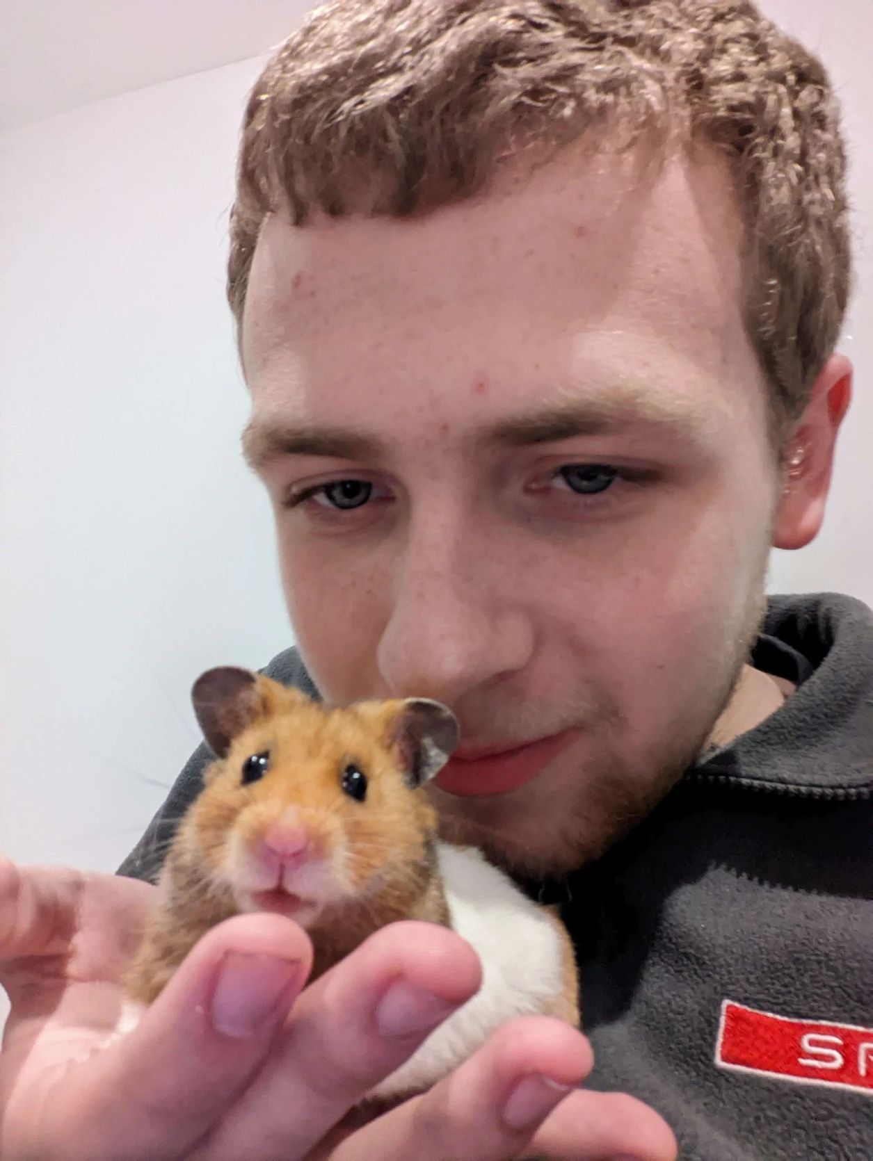 image-6