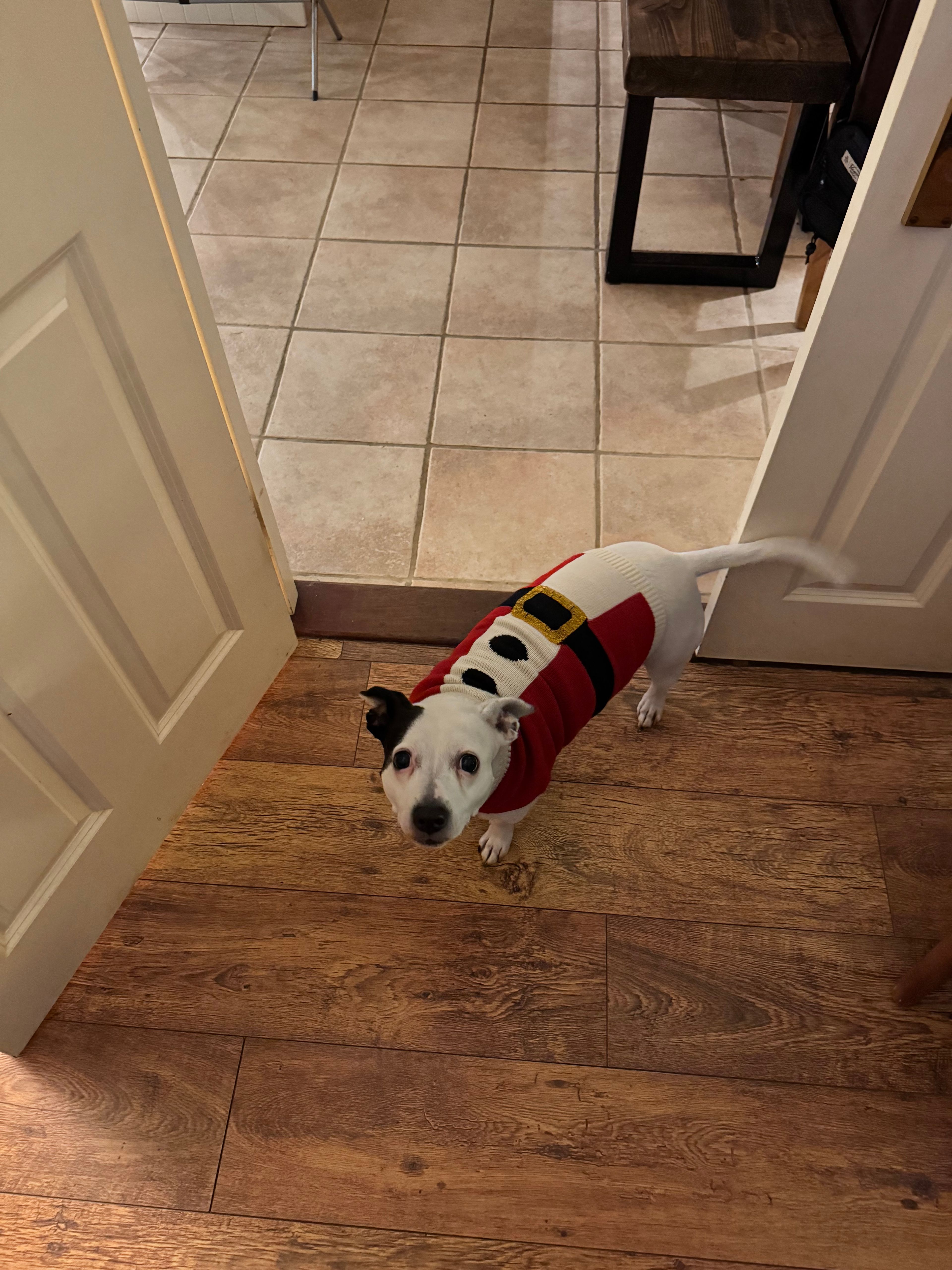 image-8