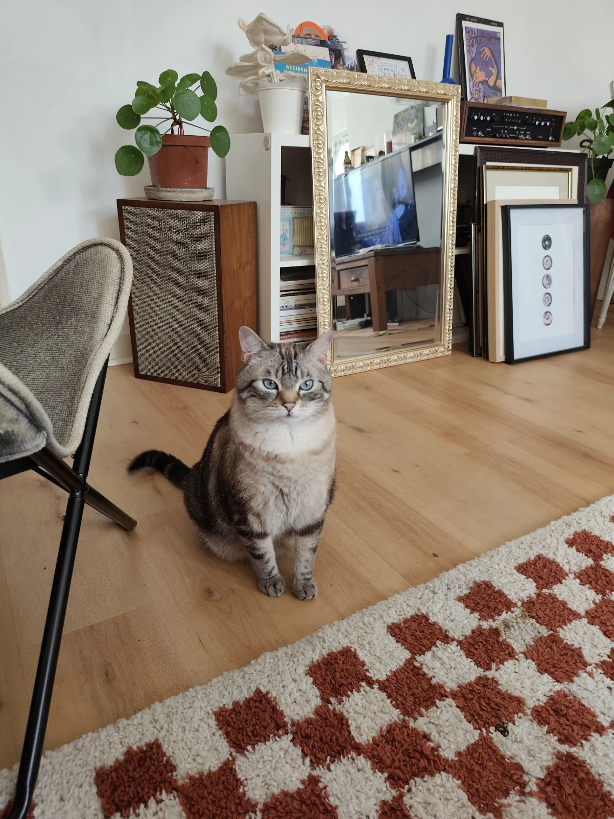 image-7