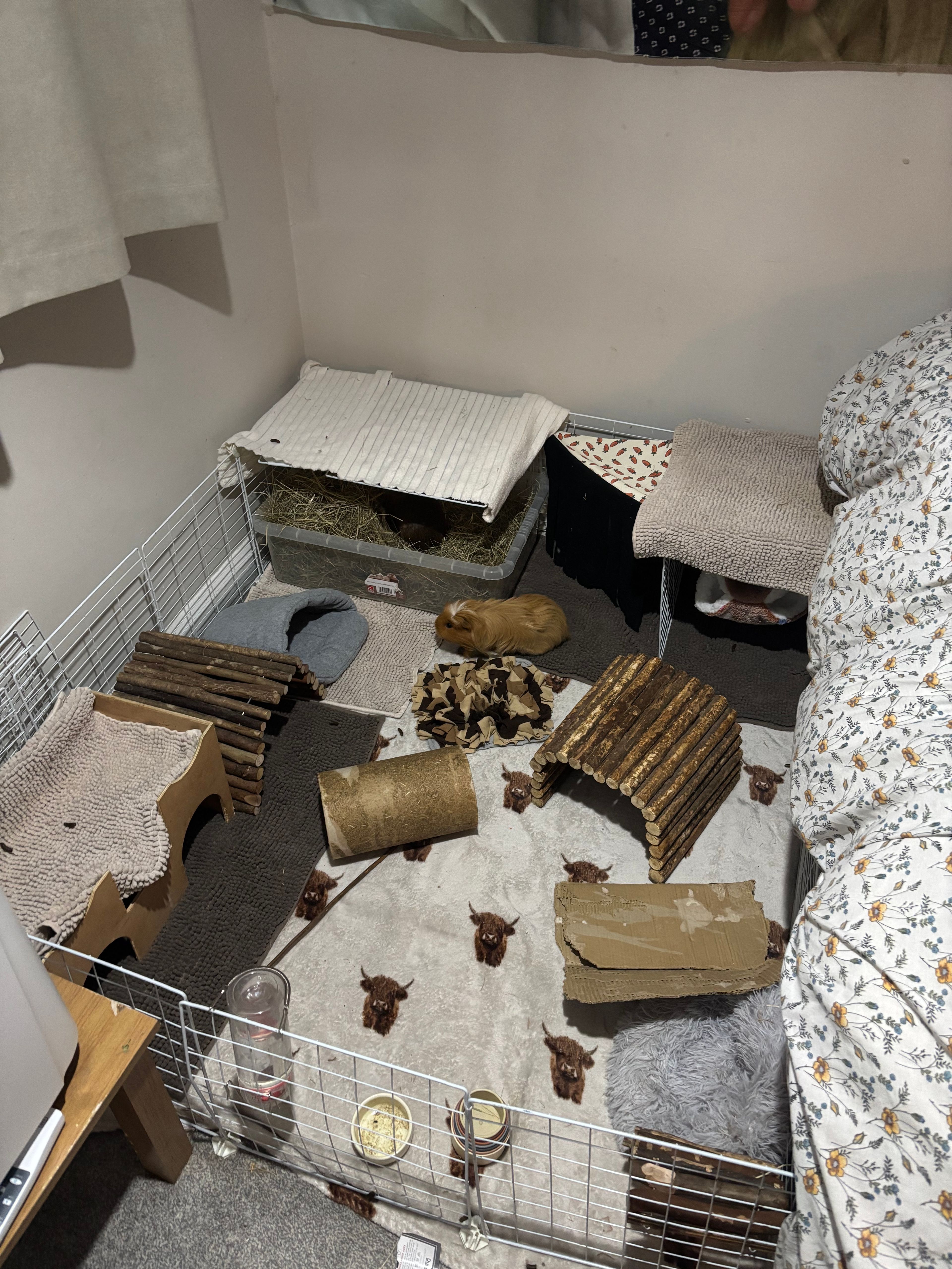 image-7