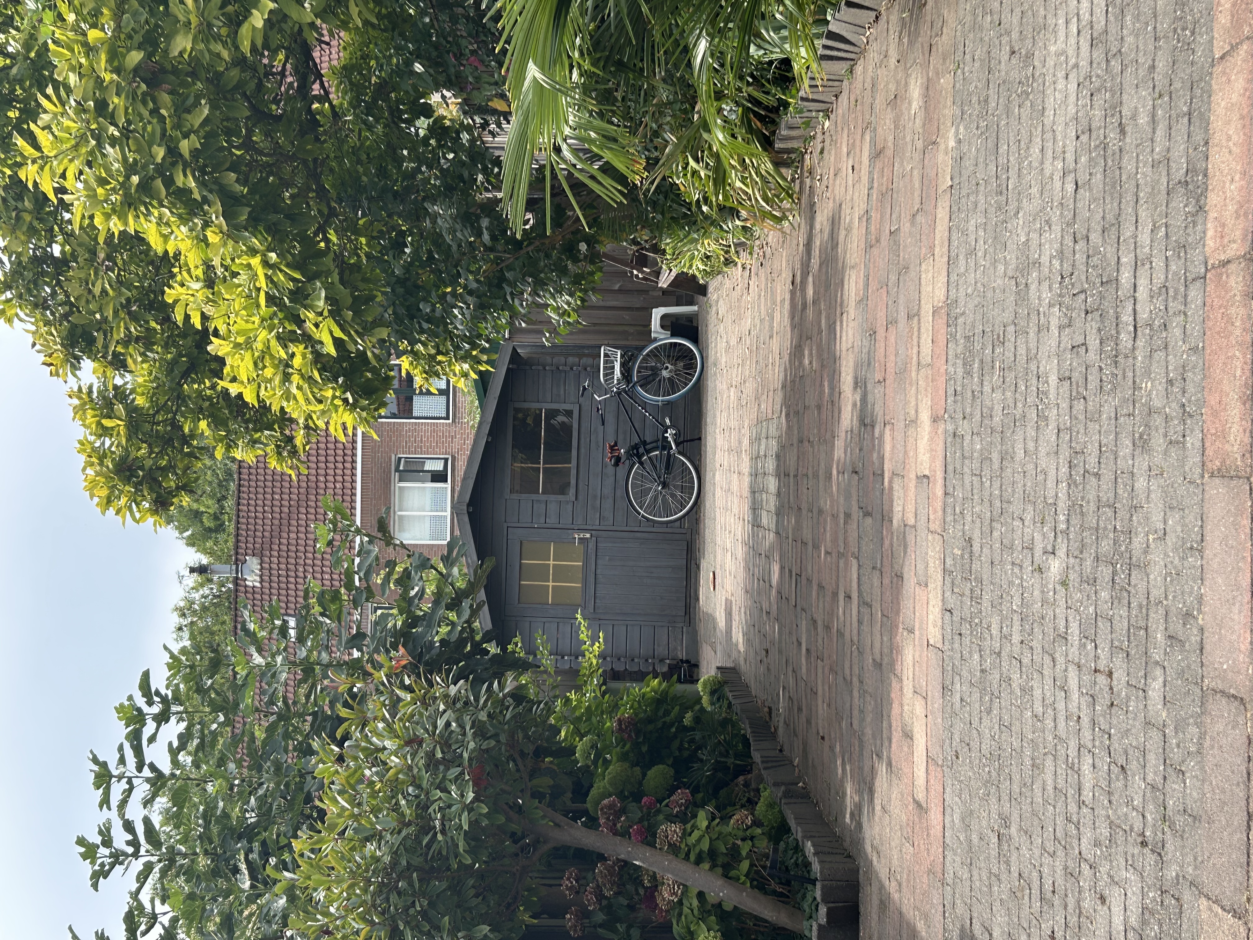 image-21