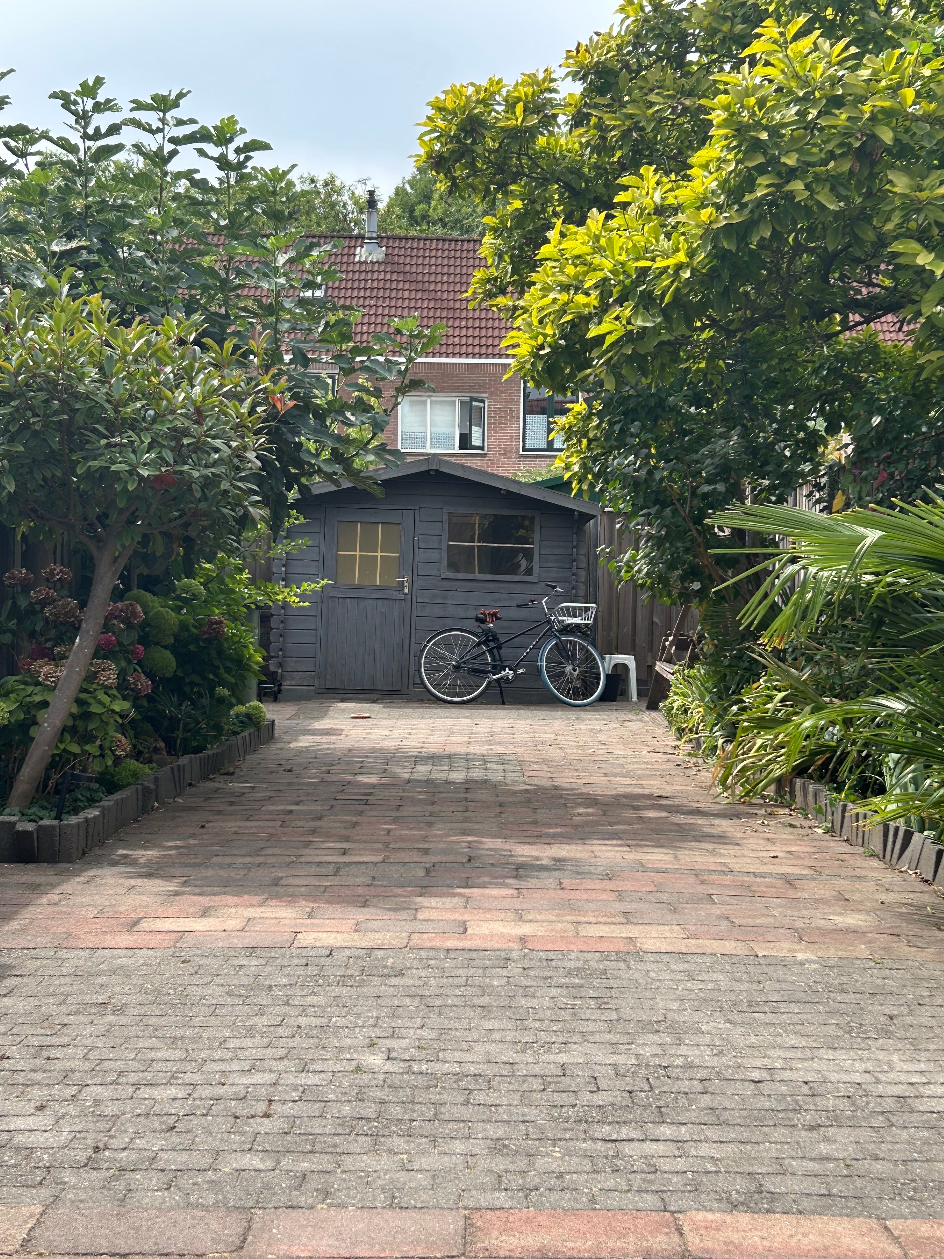 image-21