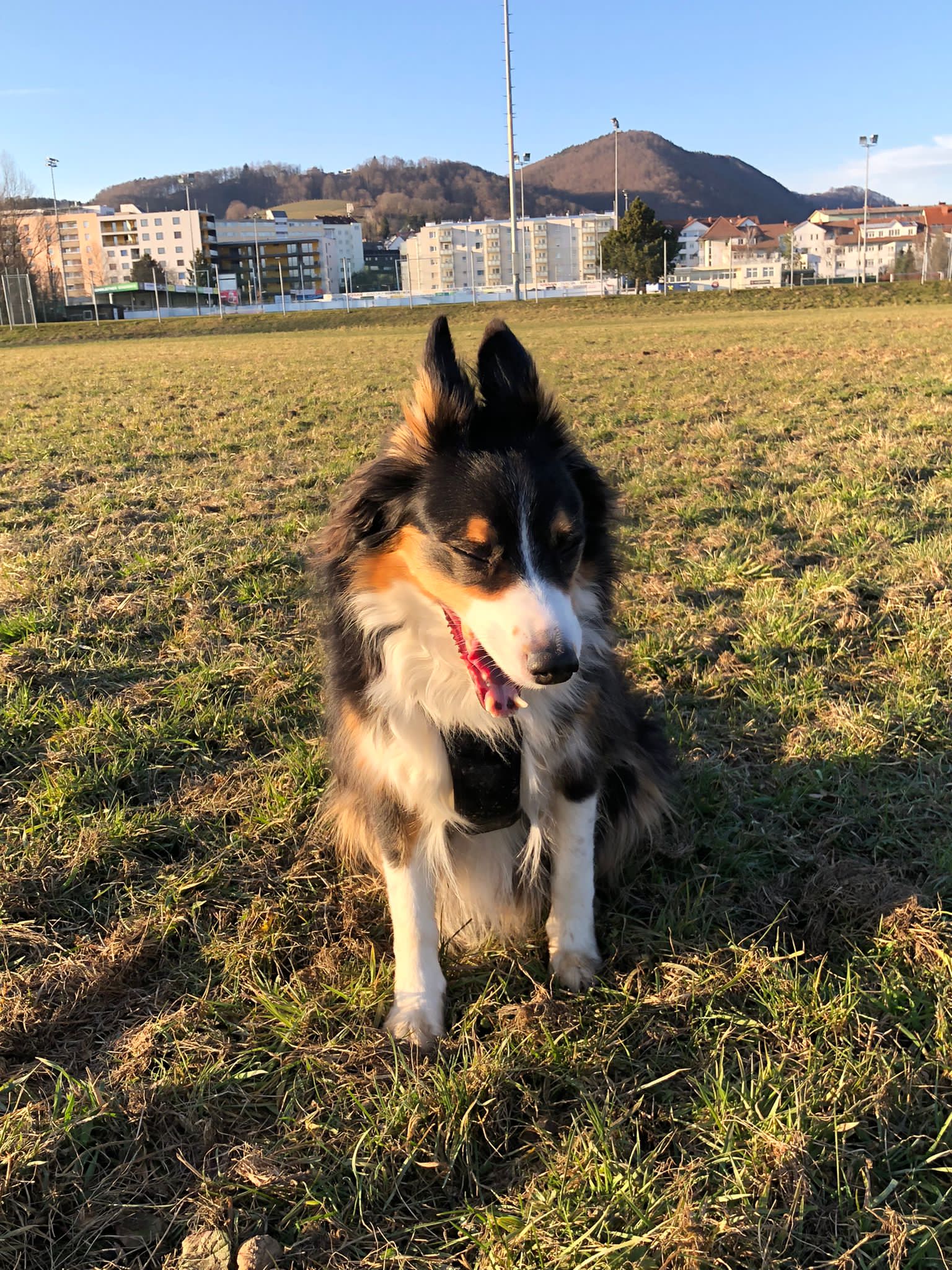 image-9