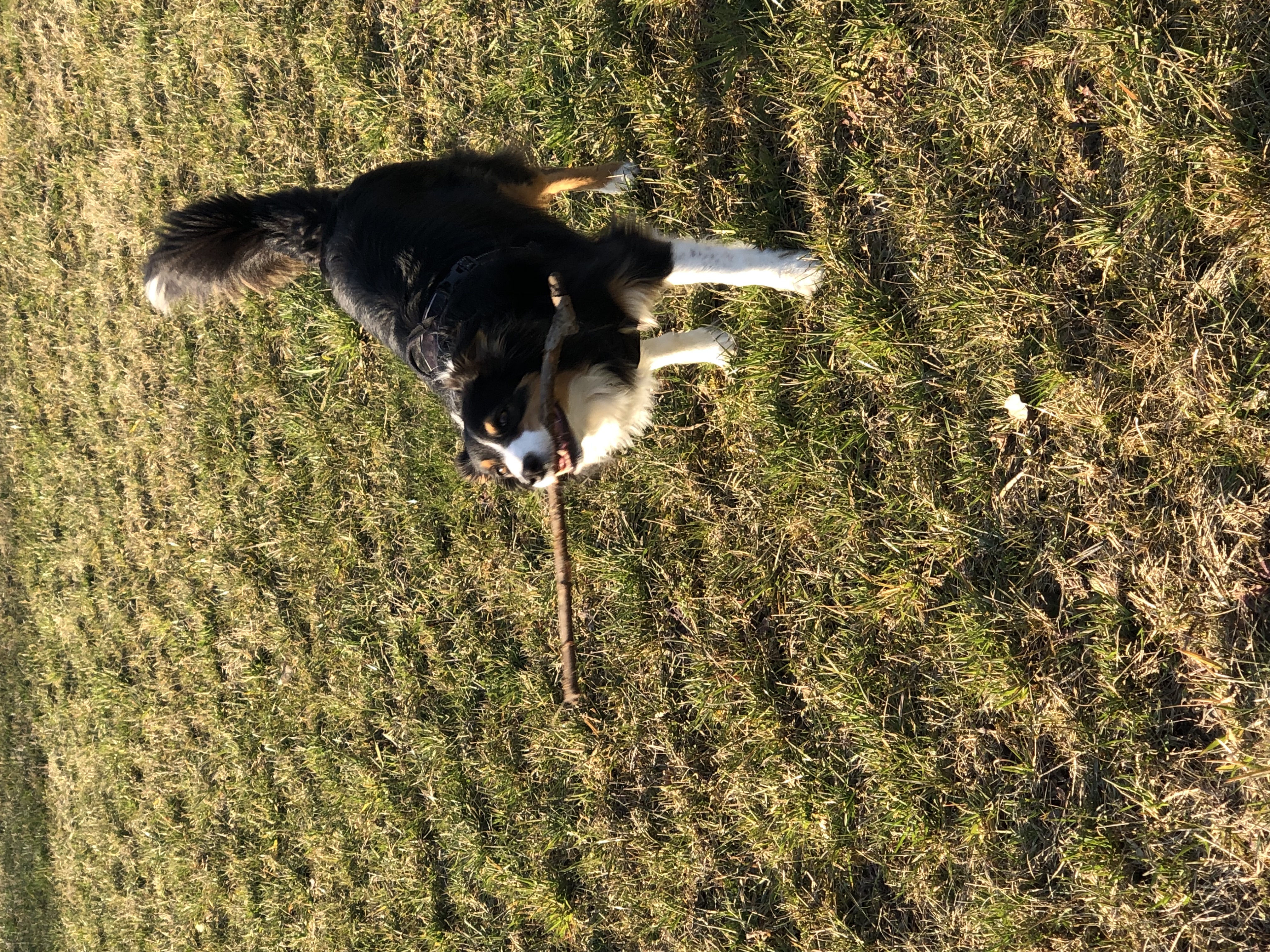 image-6