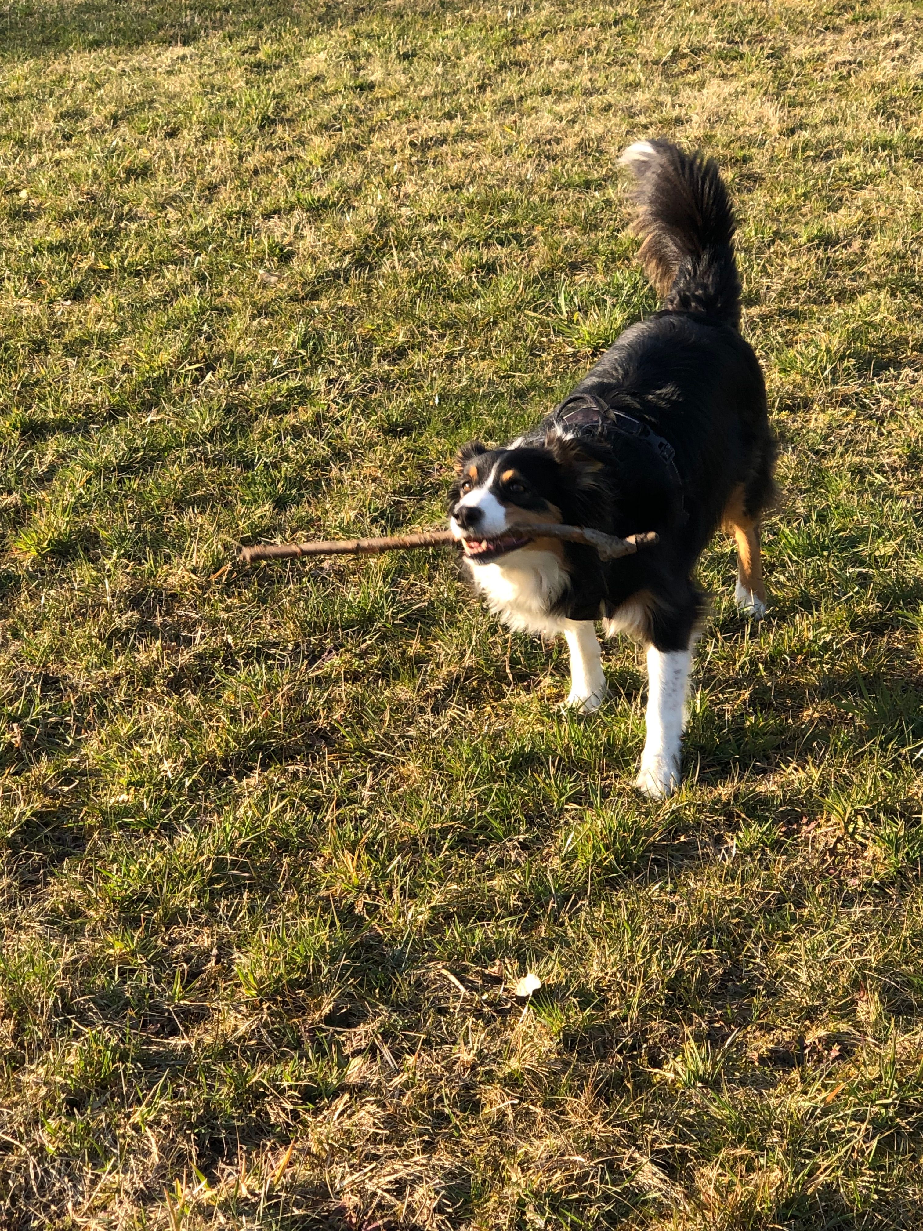 image-6
