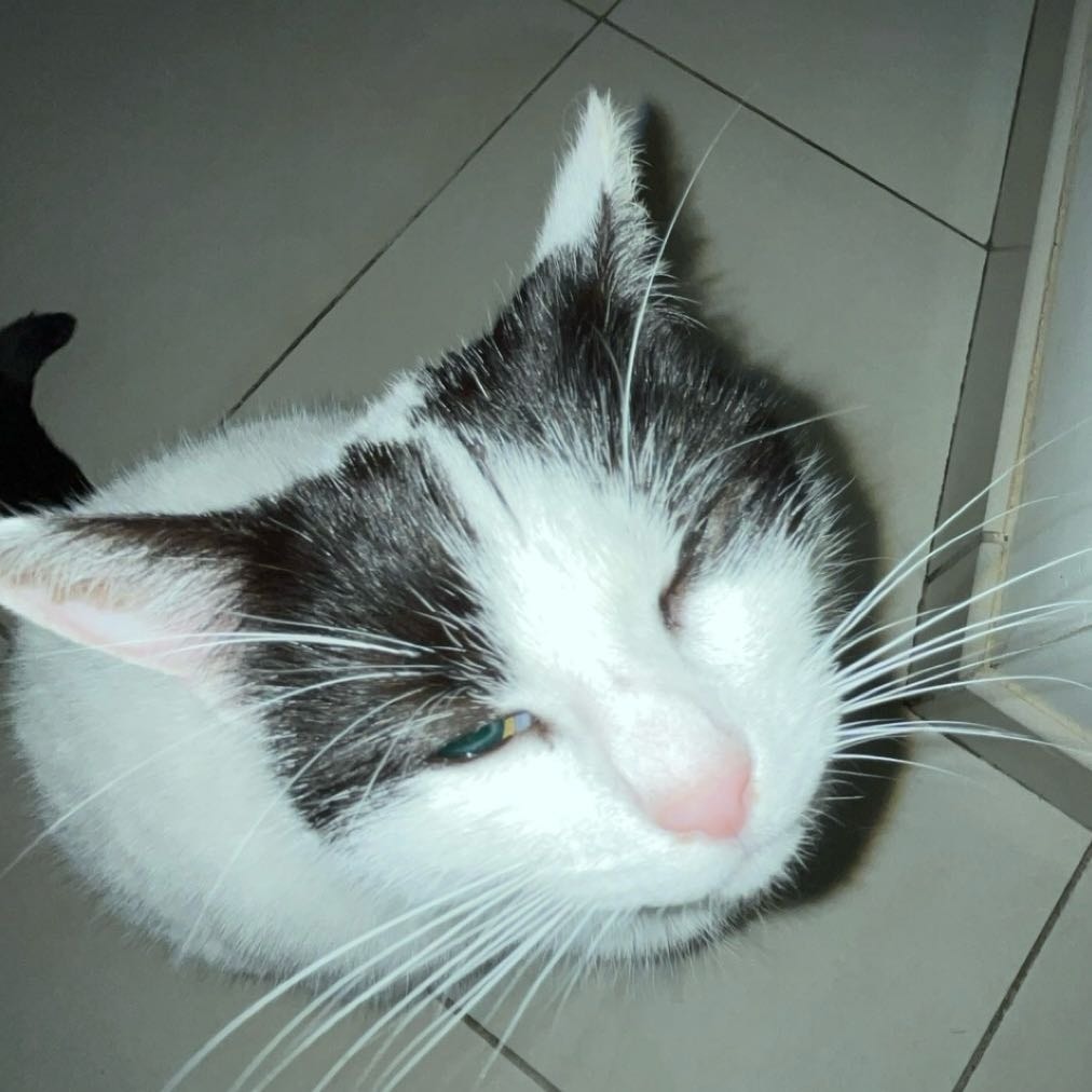 Radja