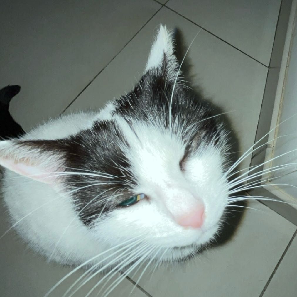 Radja