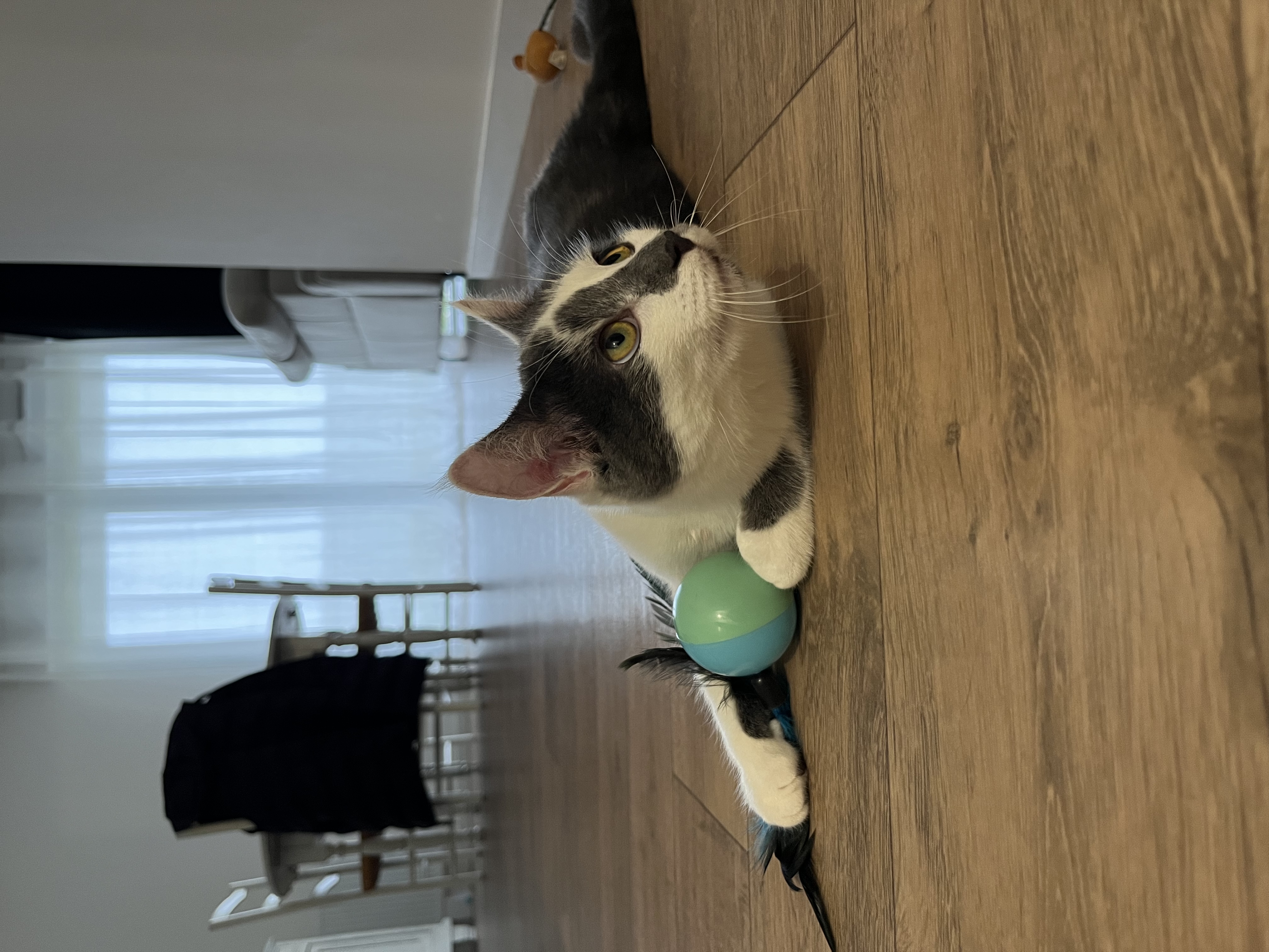 image-6