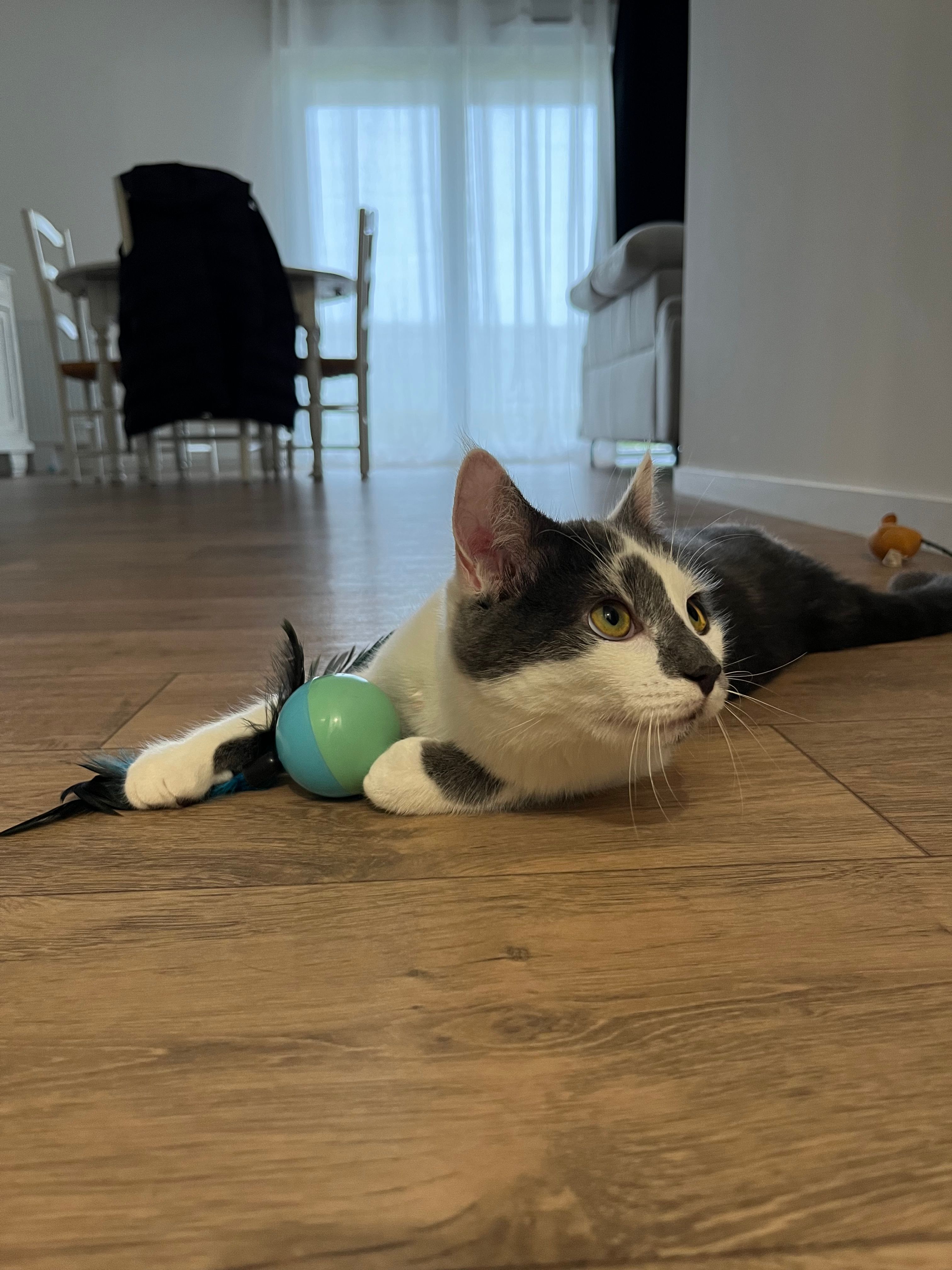 image-6
