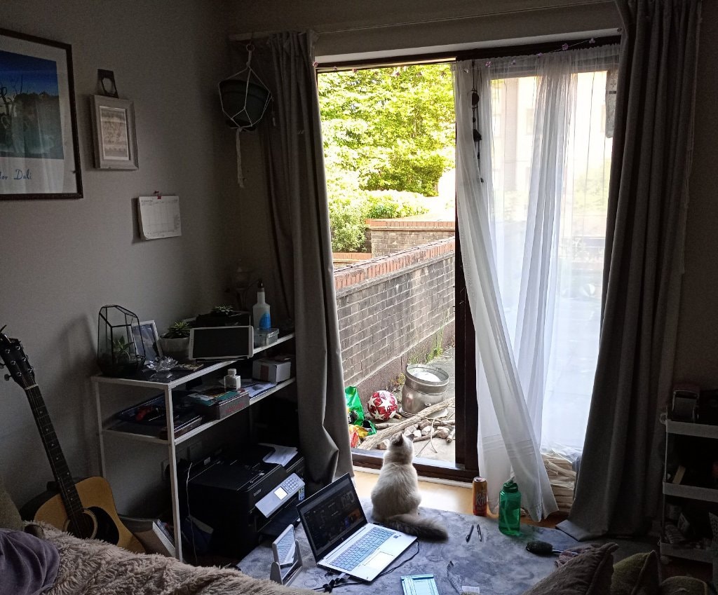 image-5