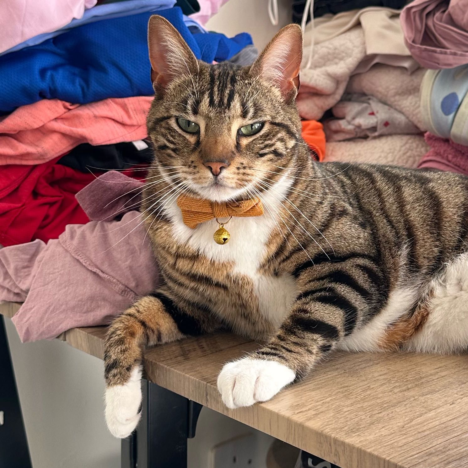 Nala