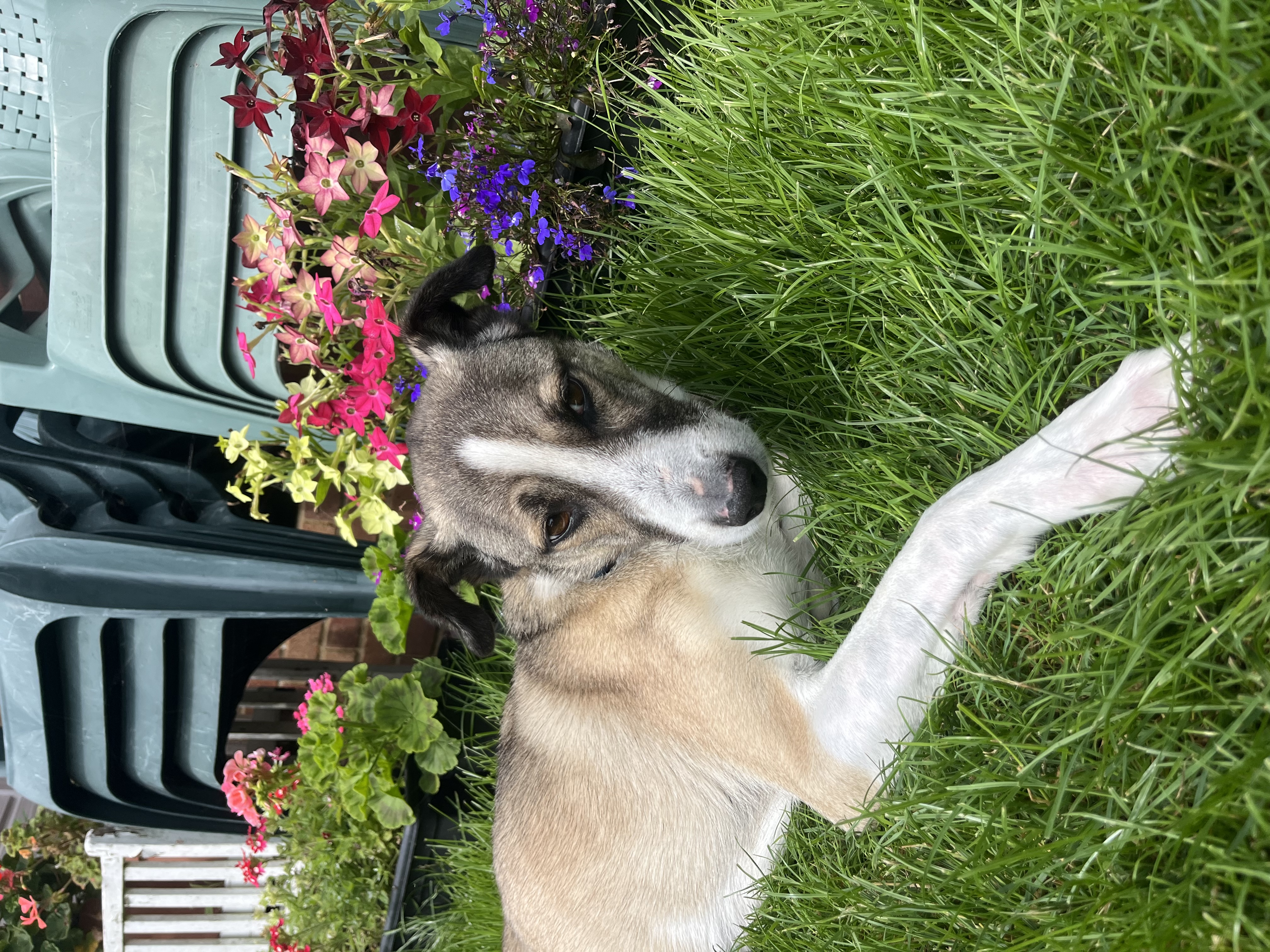 image-7