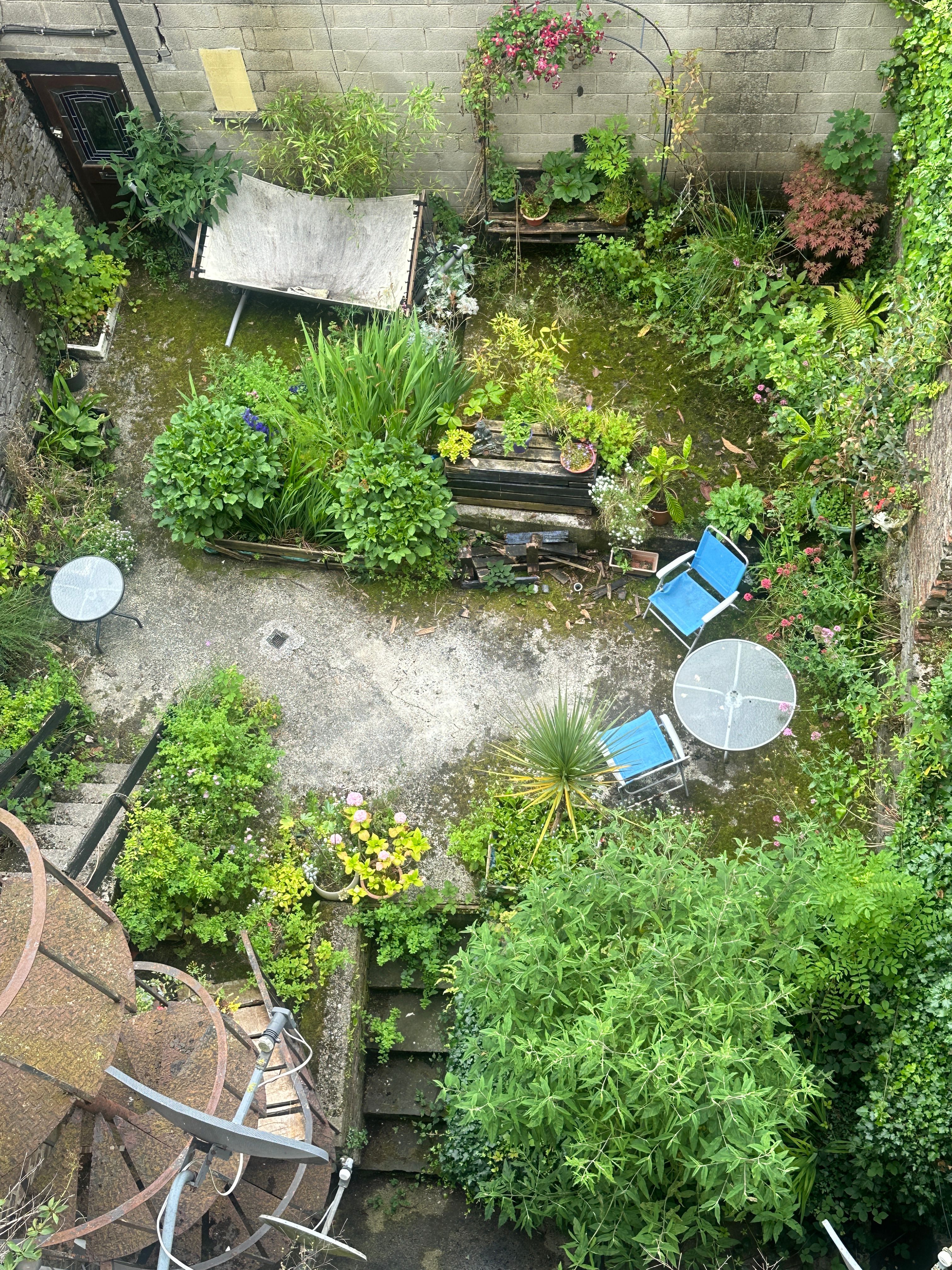 image-13