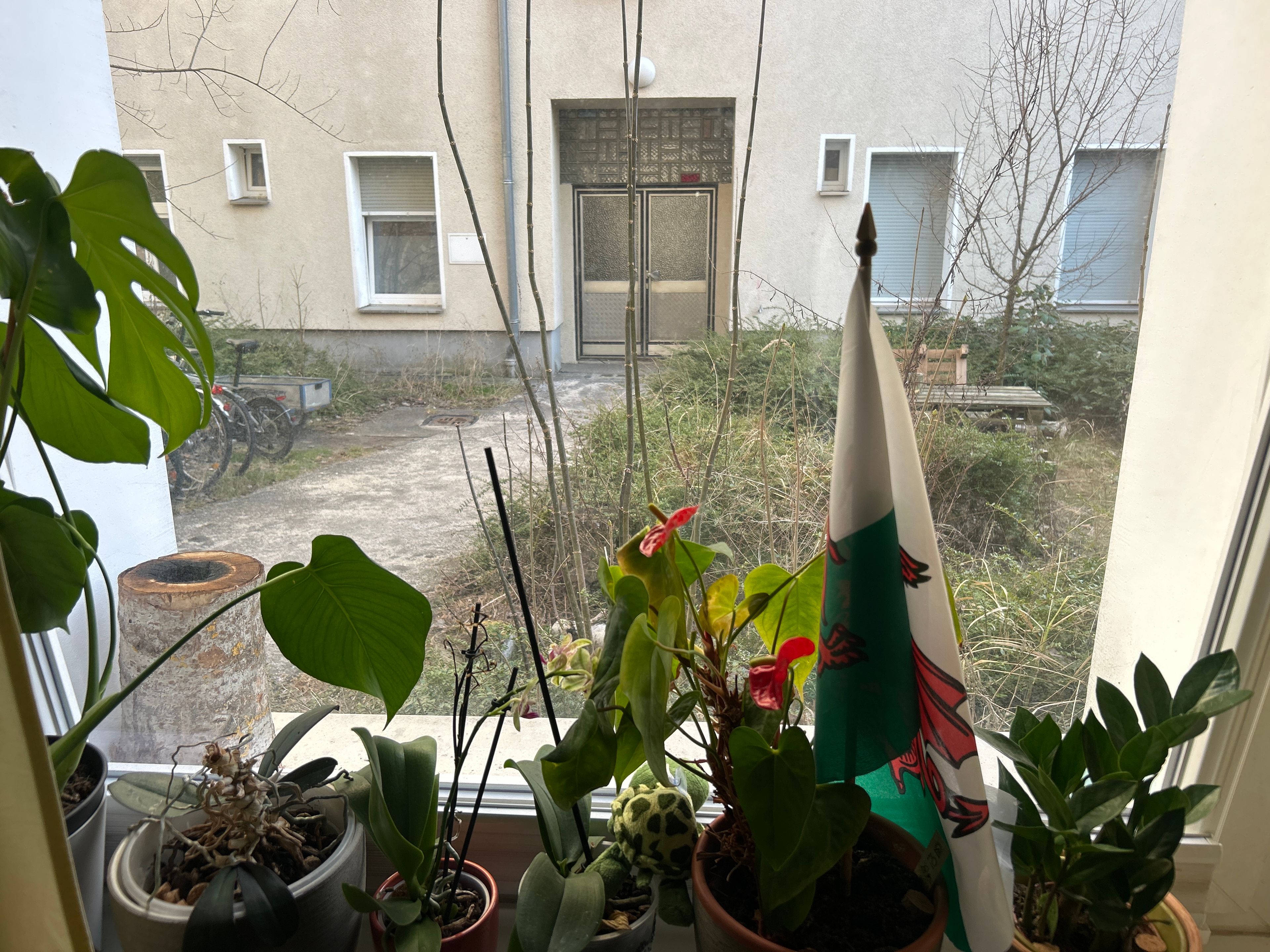 image-19