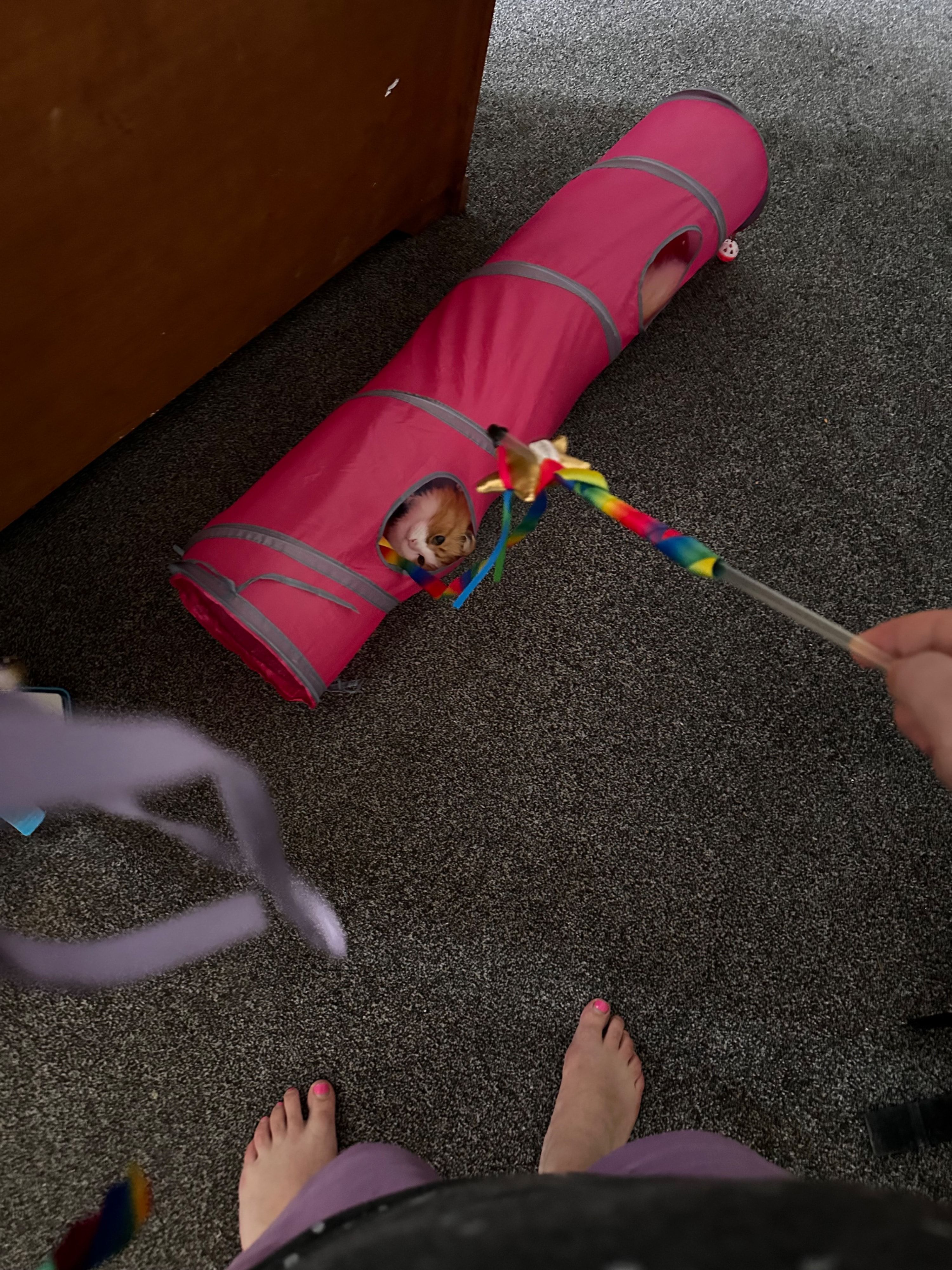 image-4