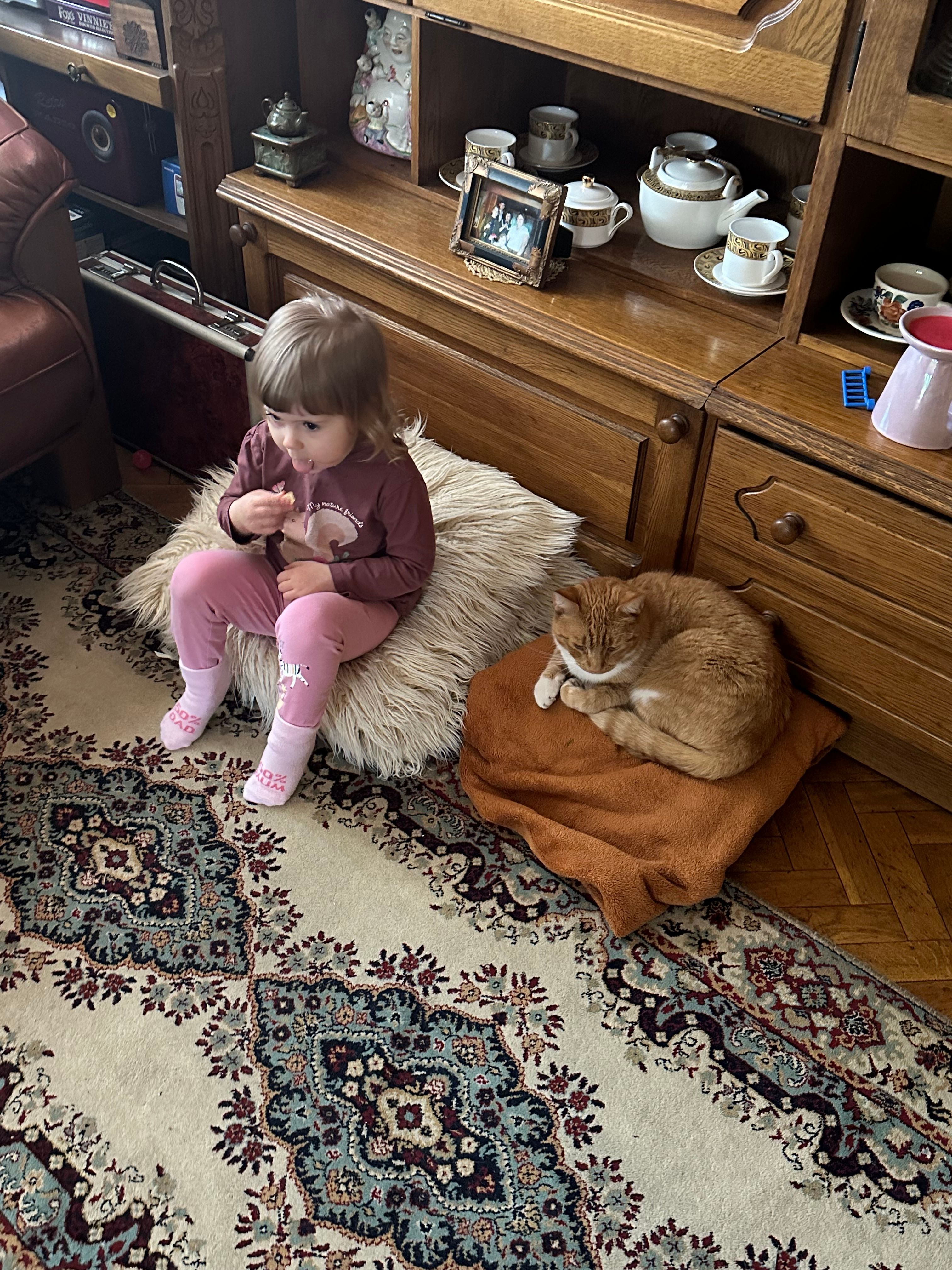 image-22