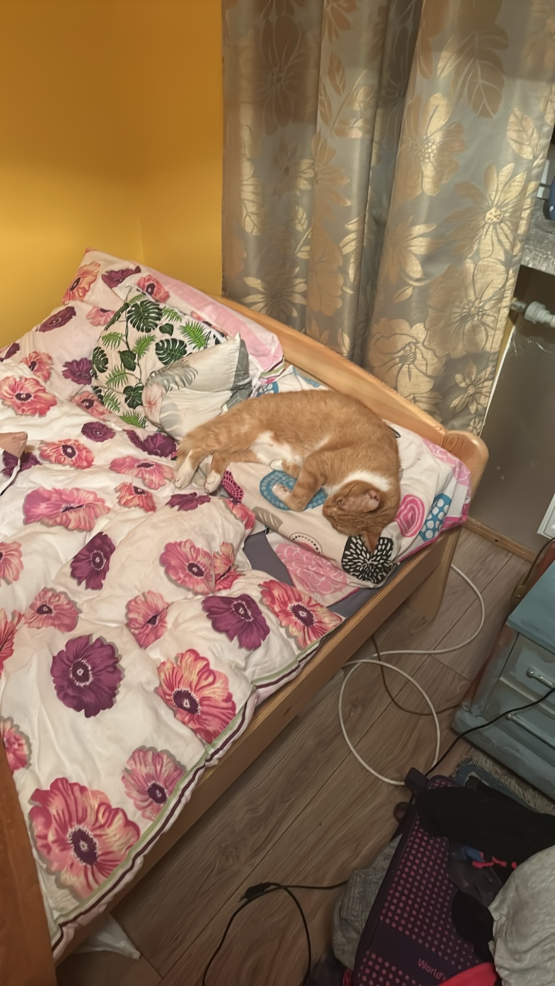 image-9