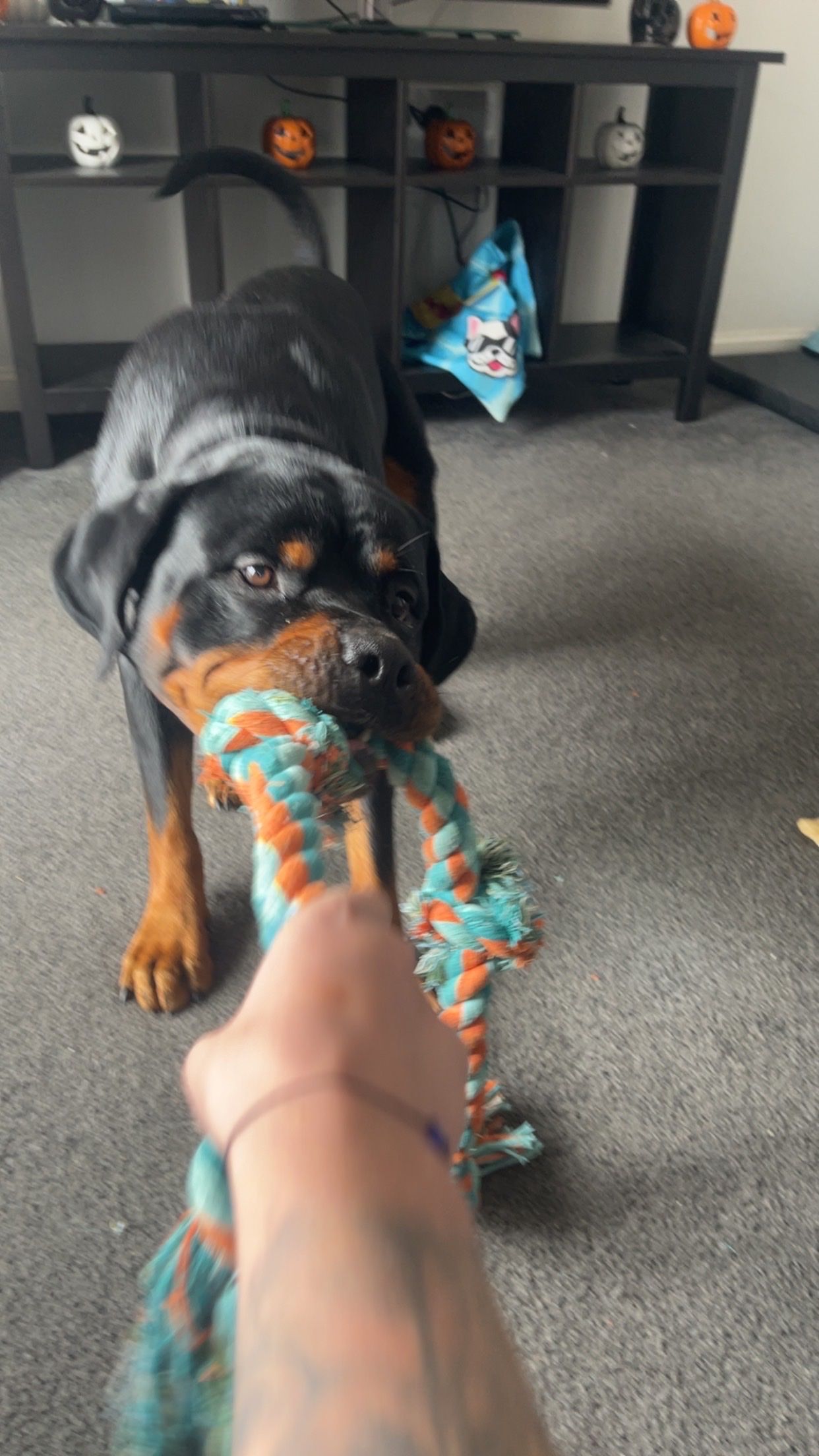 image-7
