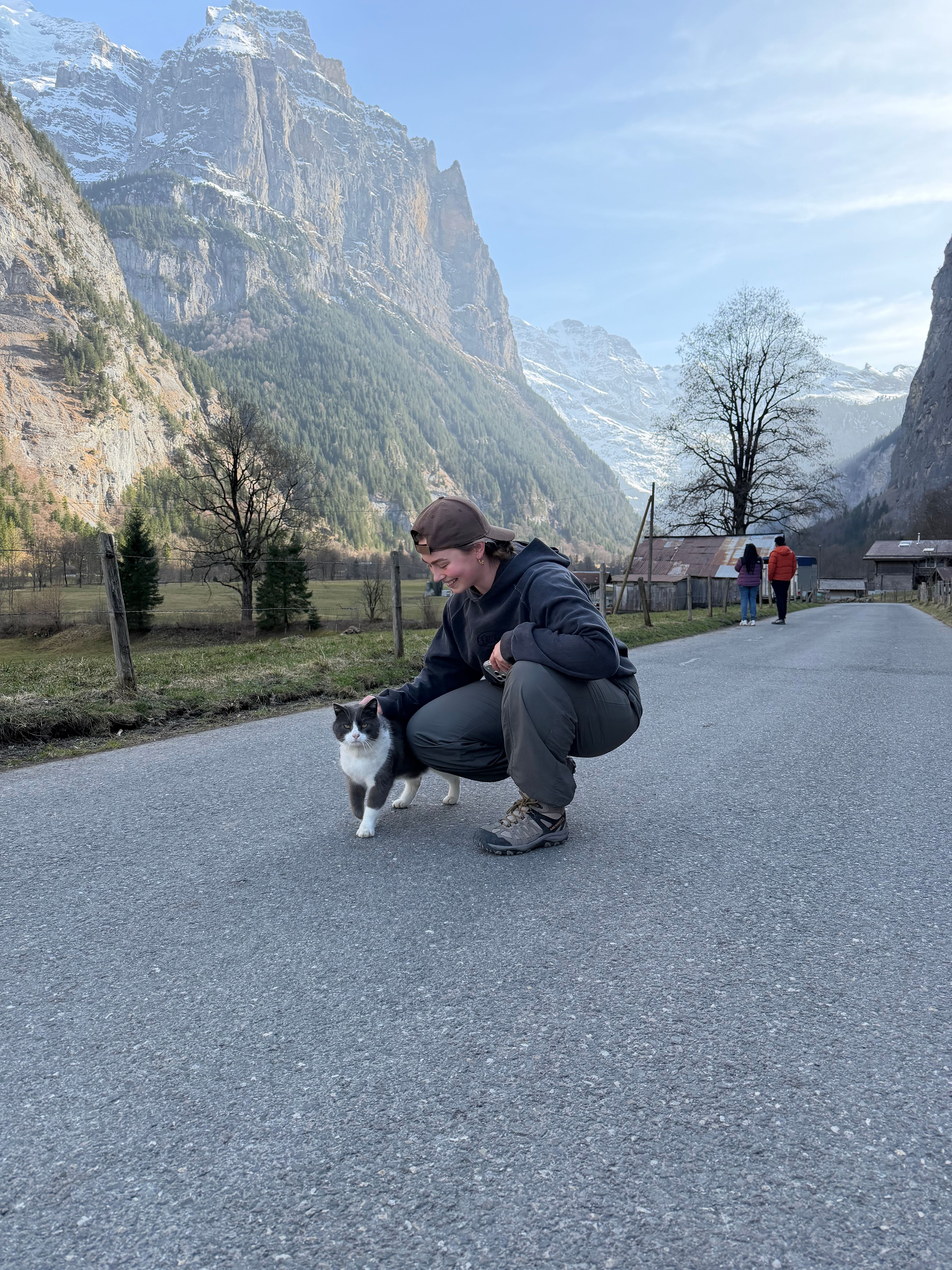 image-7