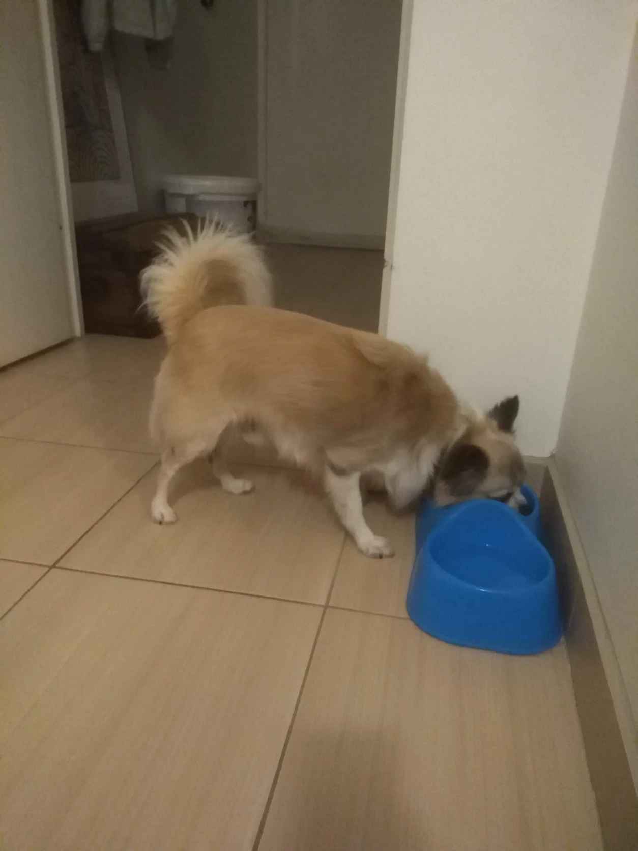 image-9