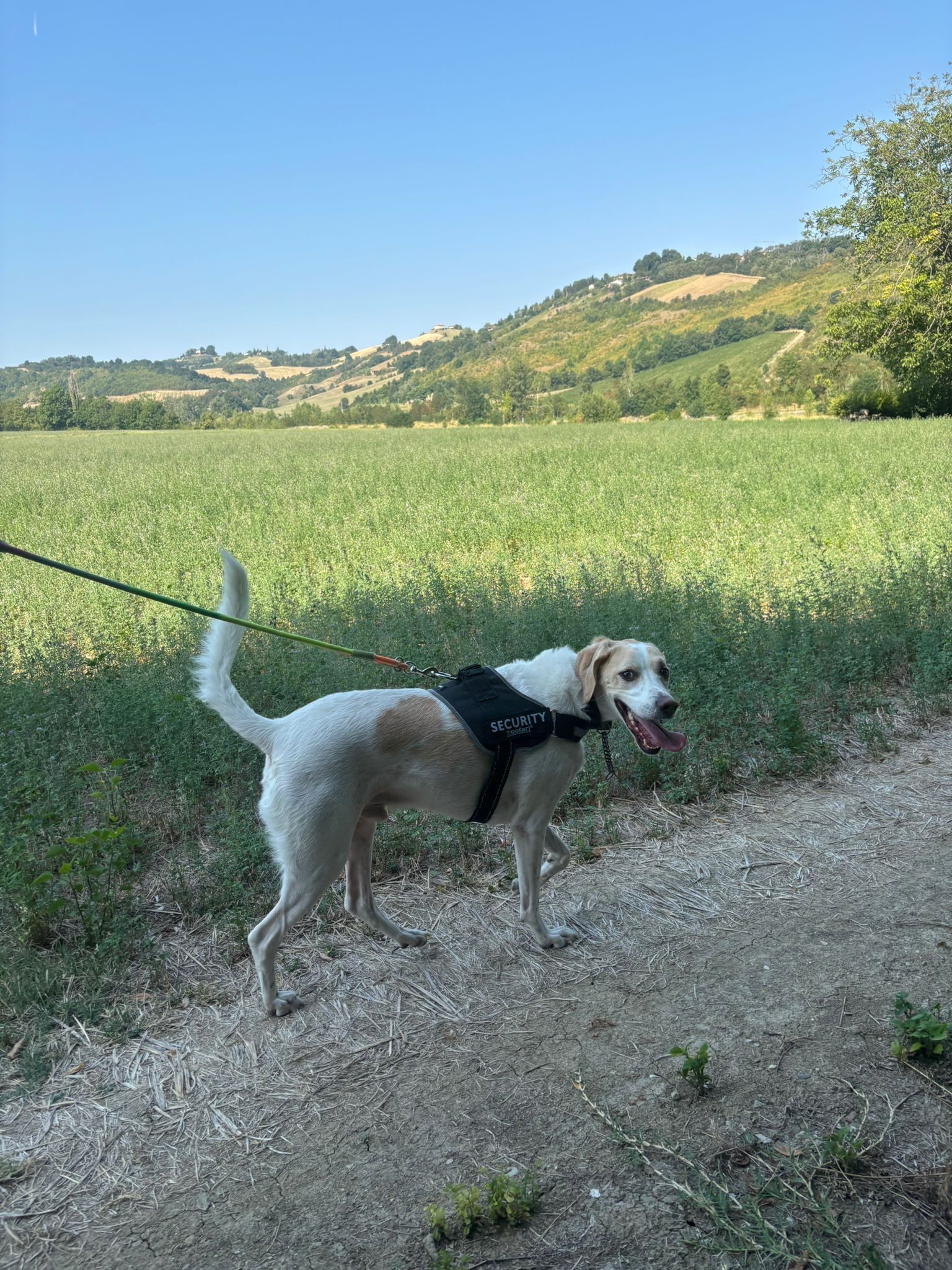 image-6