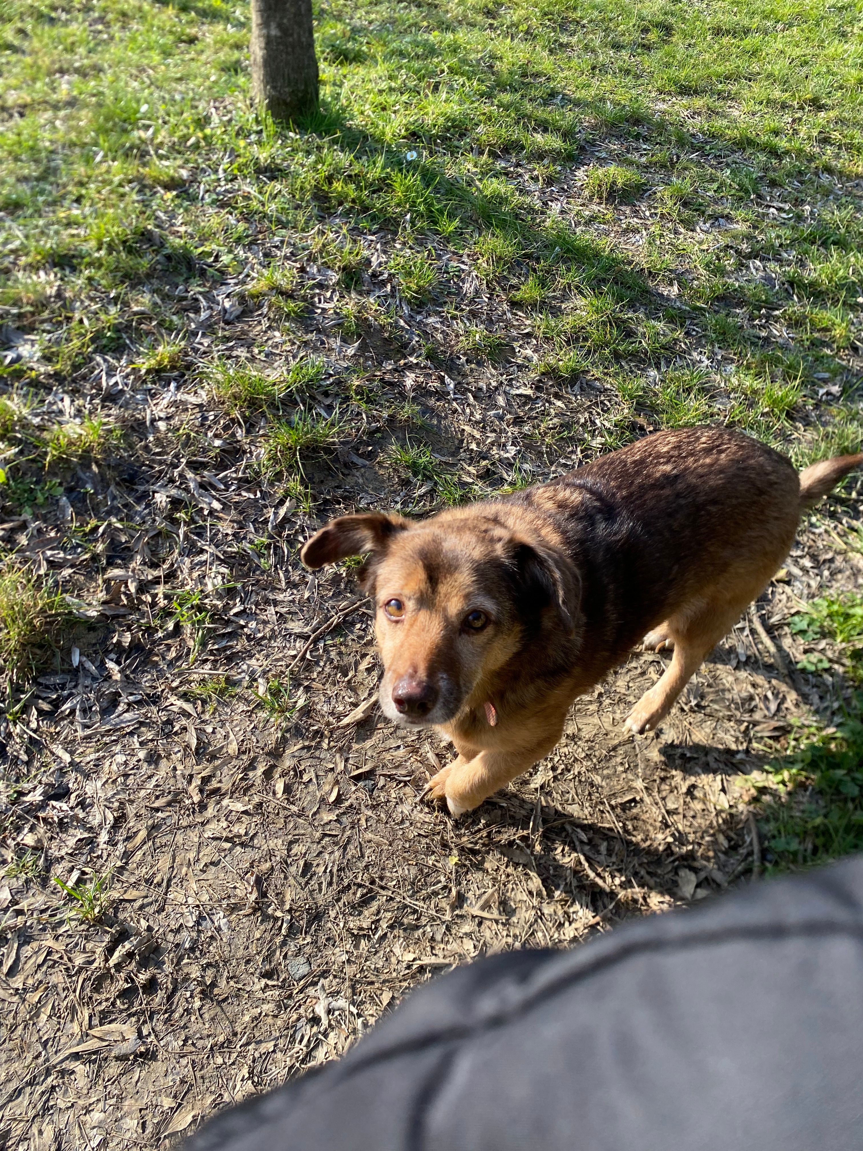 image-4