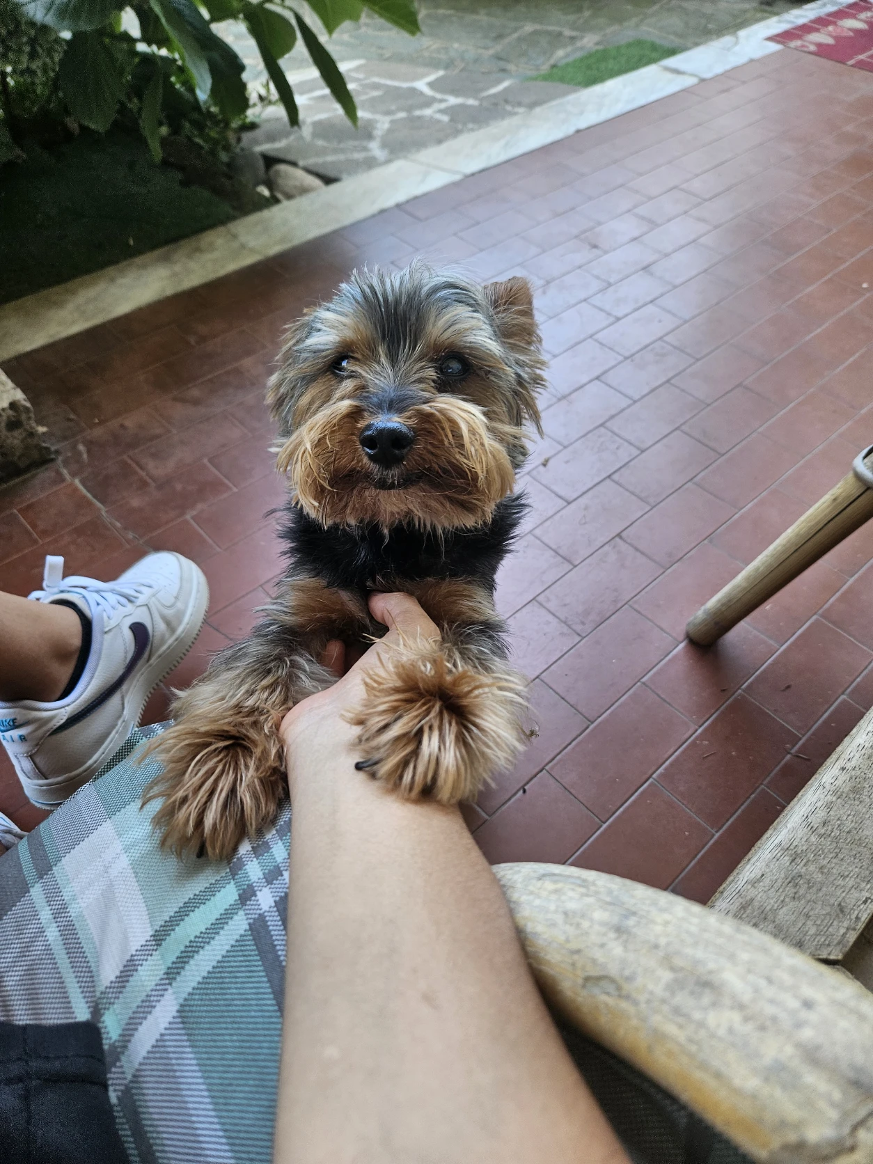 image-8