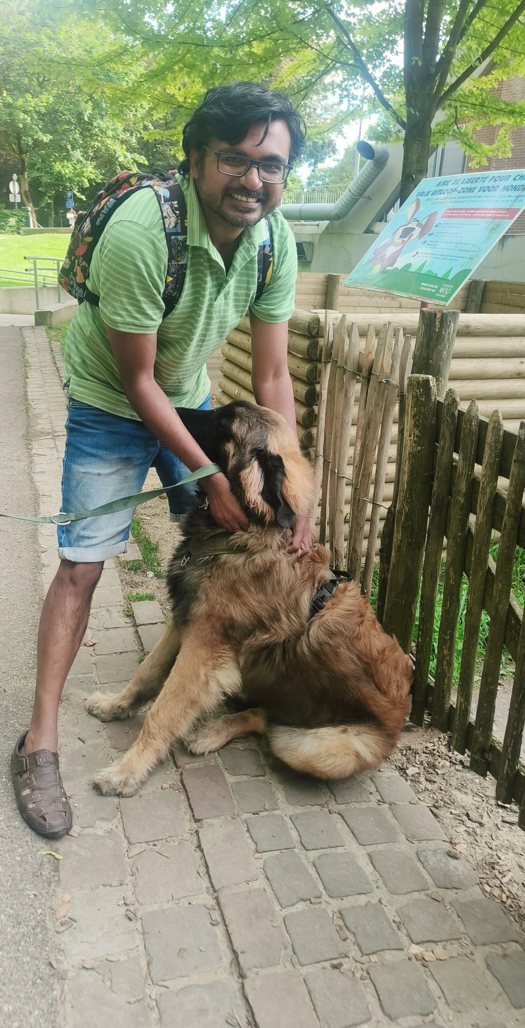image-7