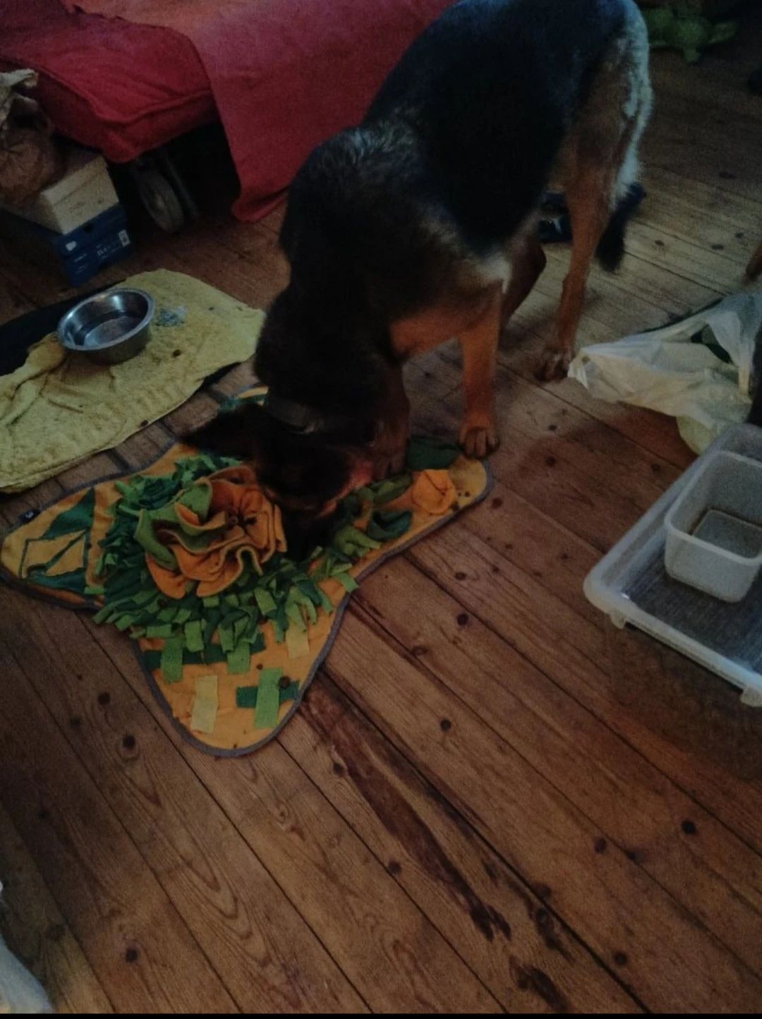 image-10