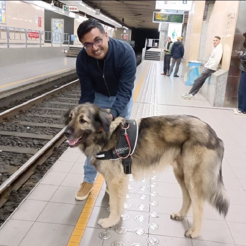 Shiju