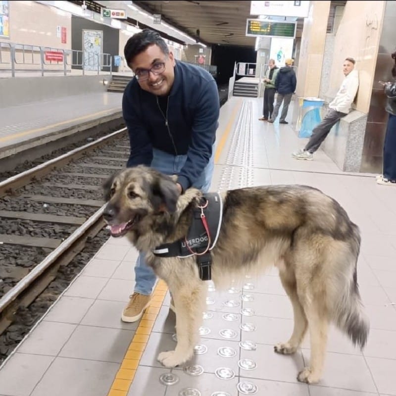 Shiju