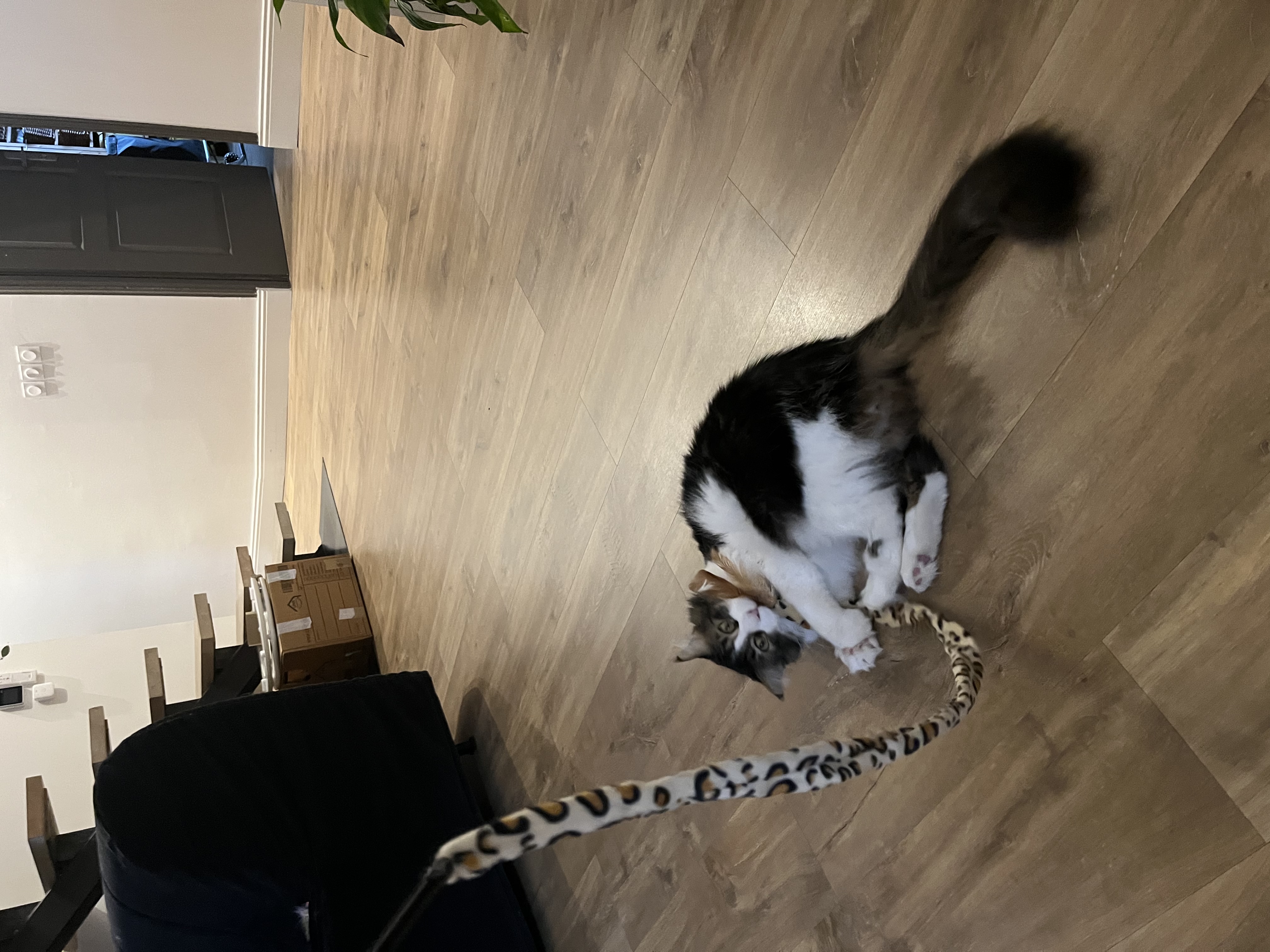 image-9