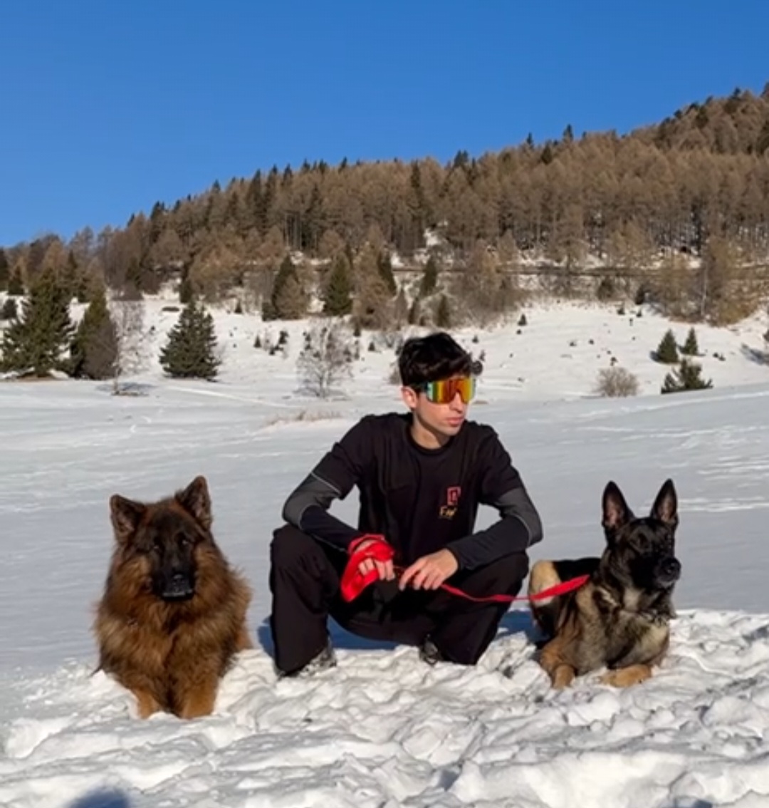 image-8