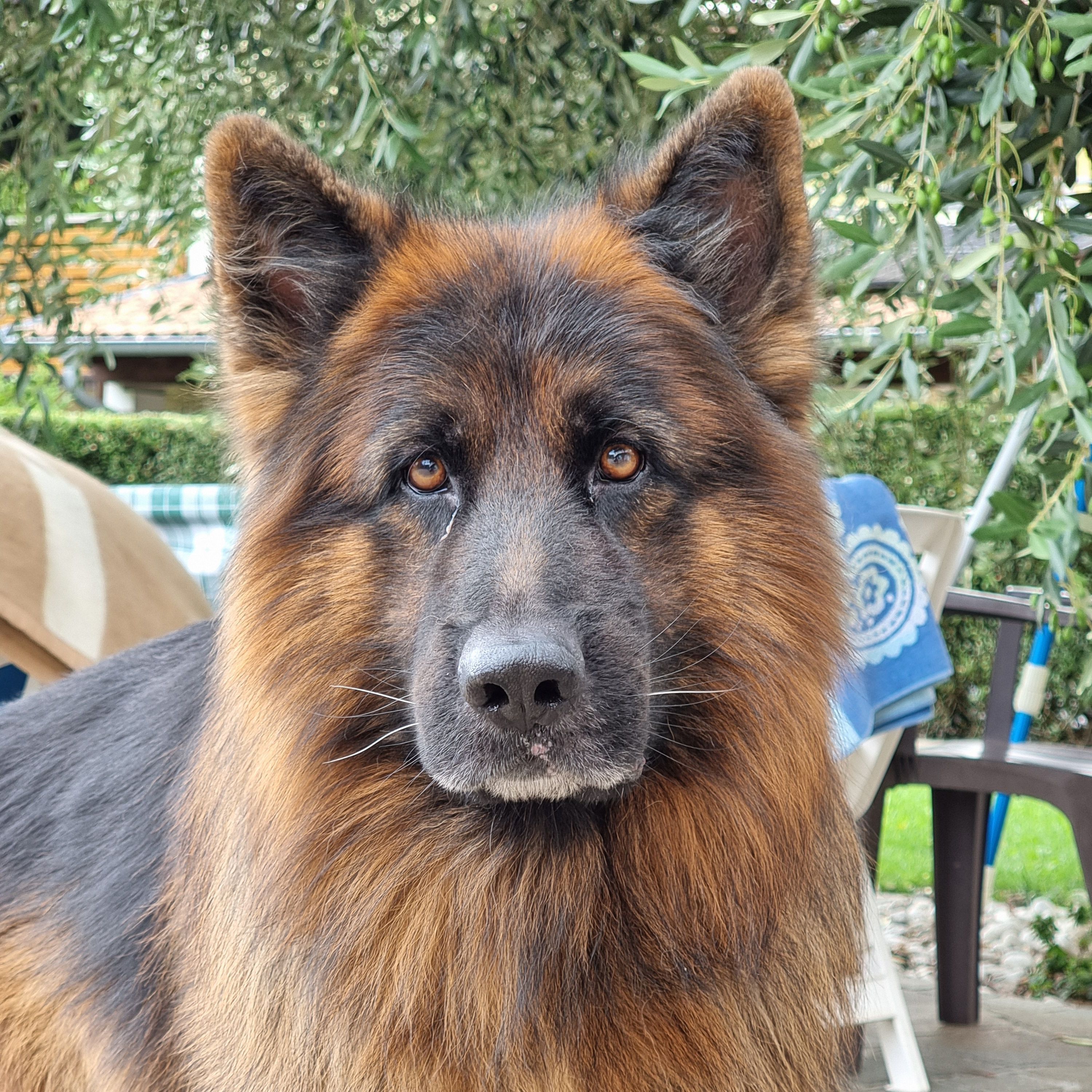 Athos