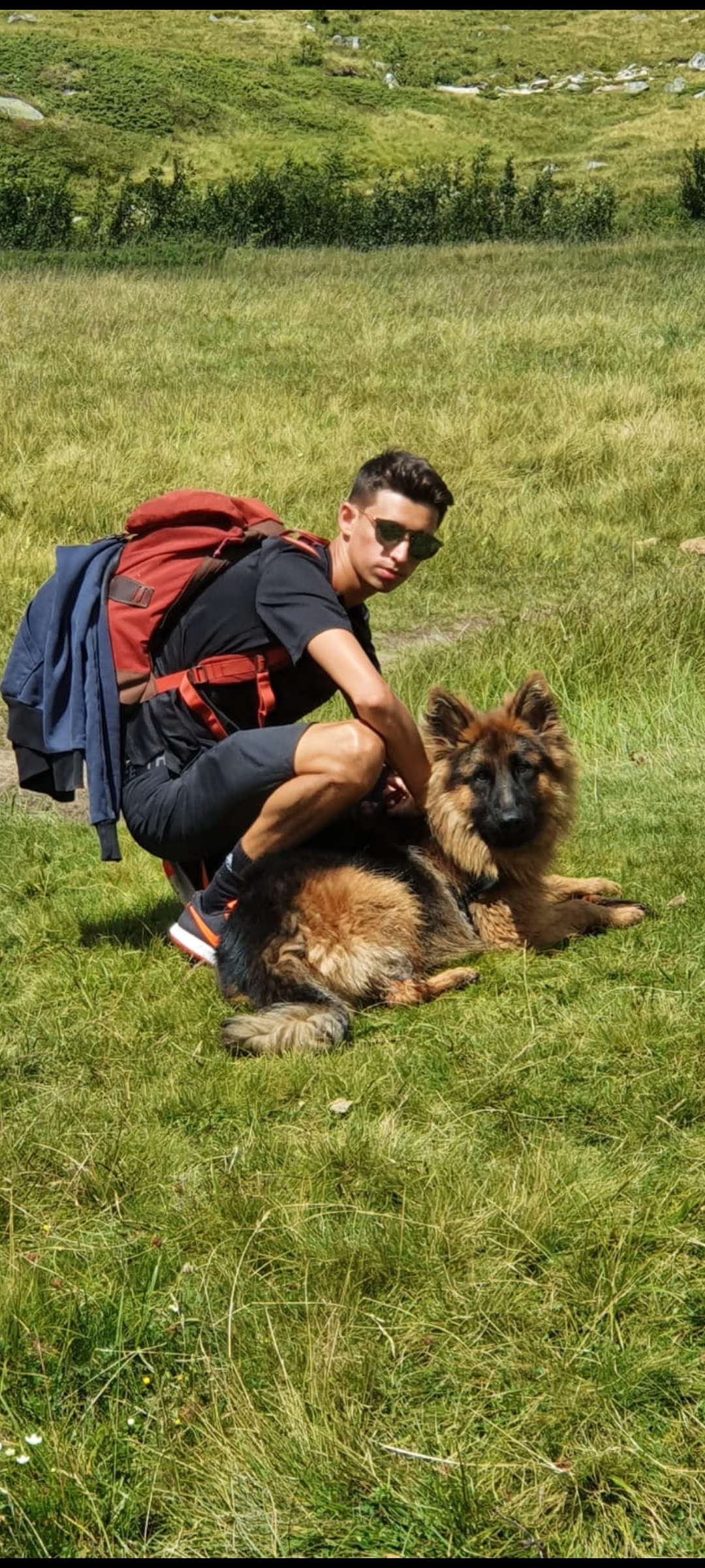 image-6