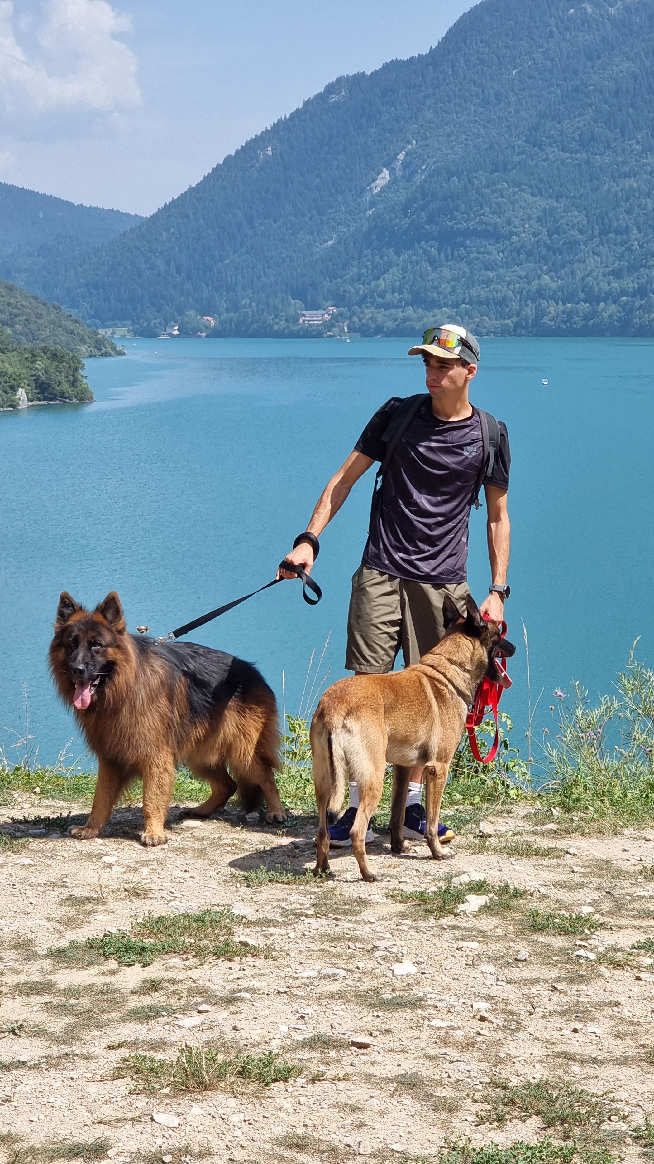 image-3