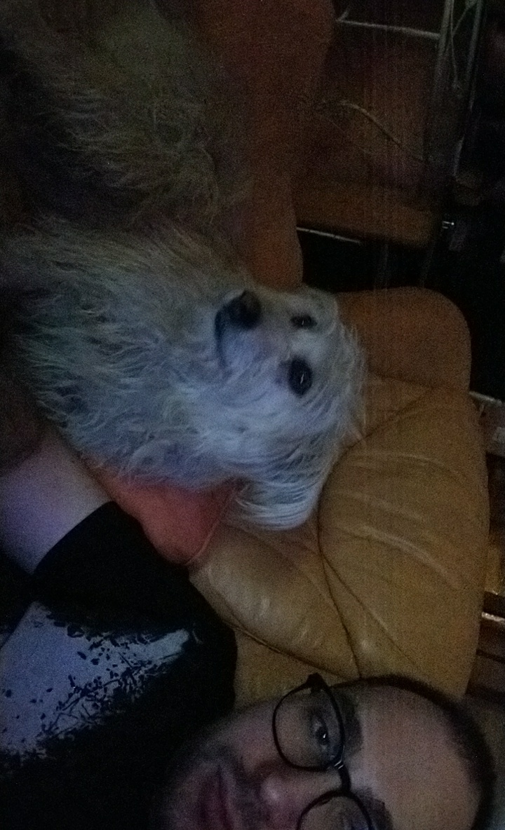 image-7