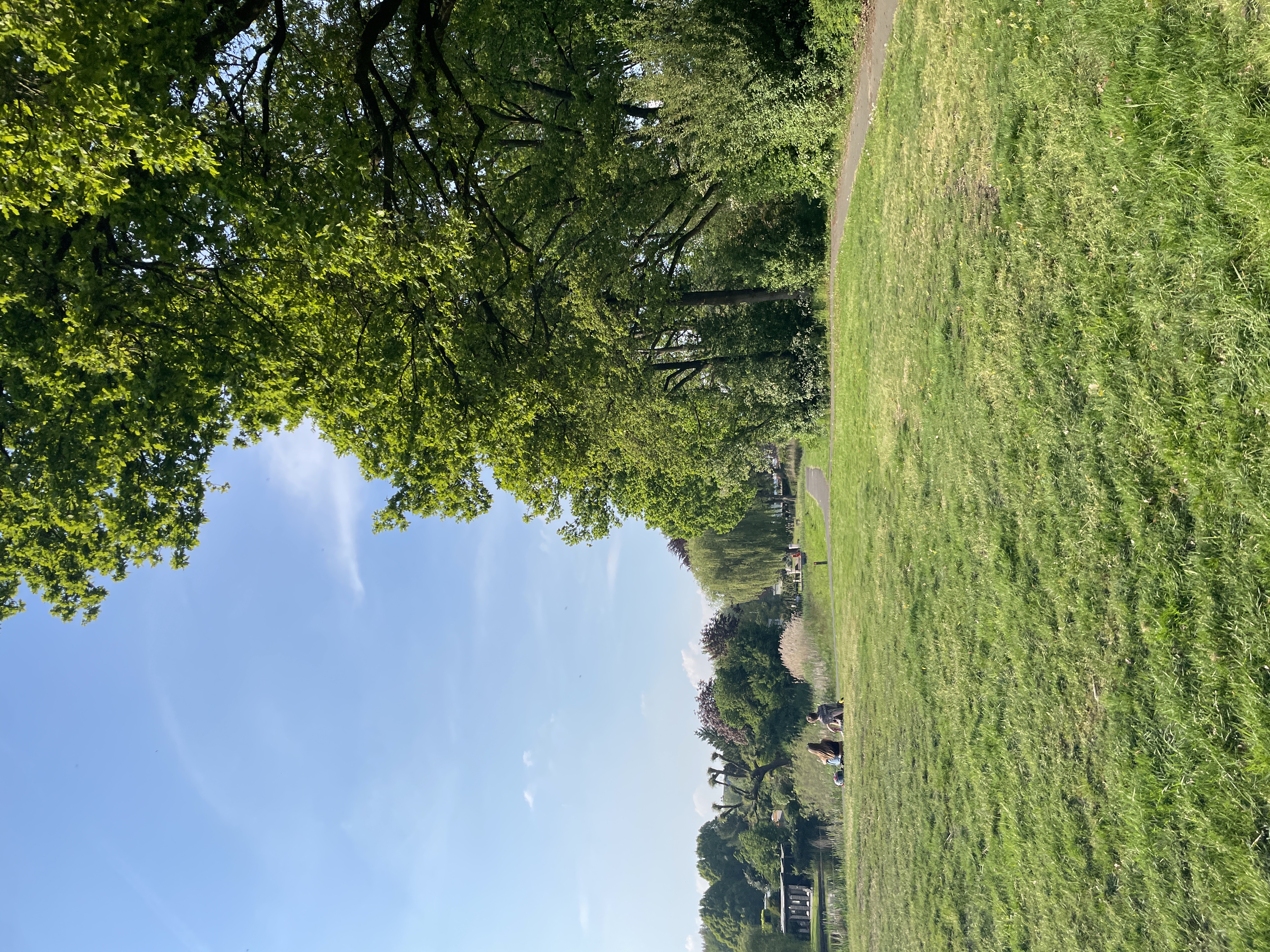image-18