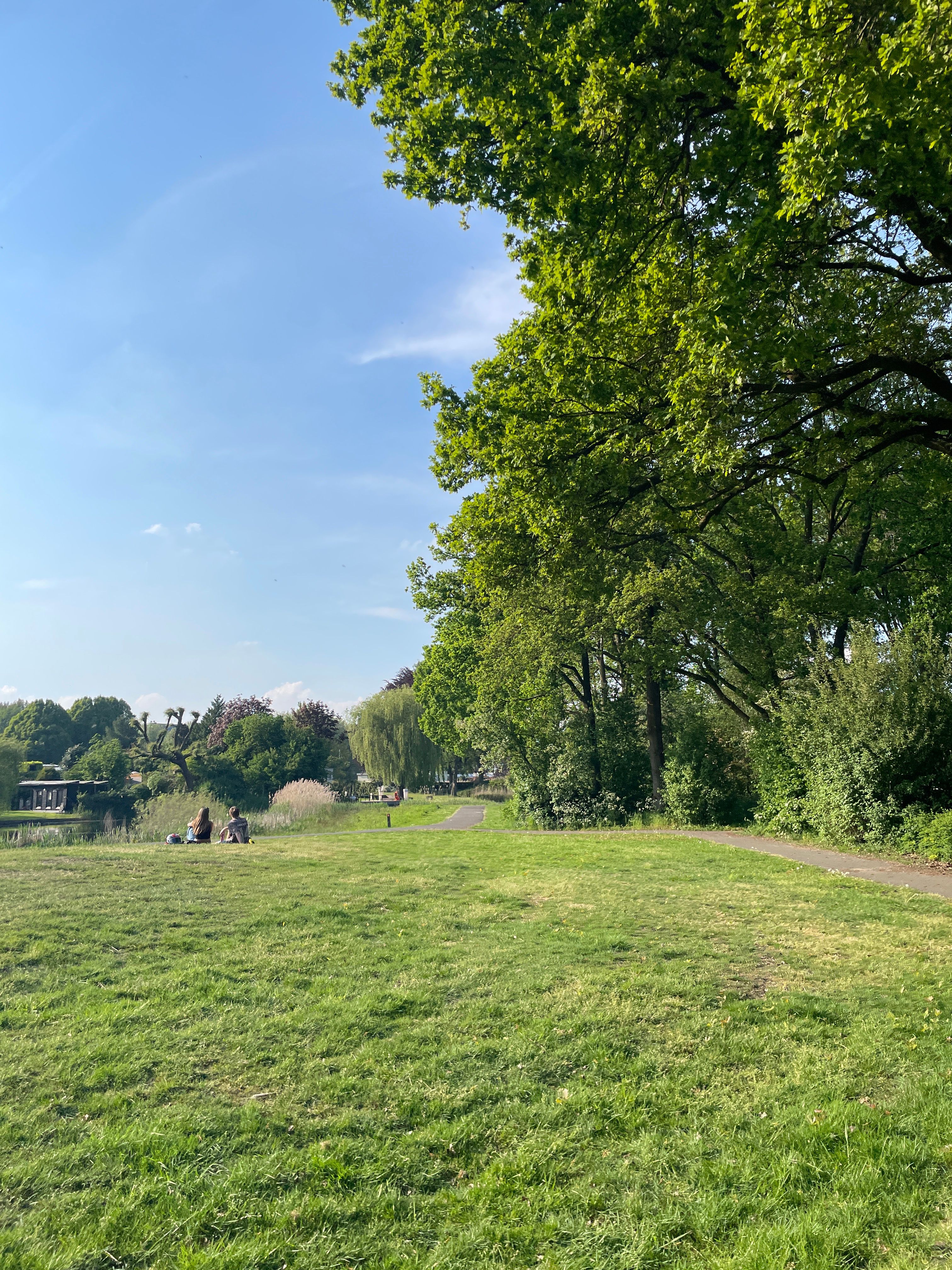 image-18