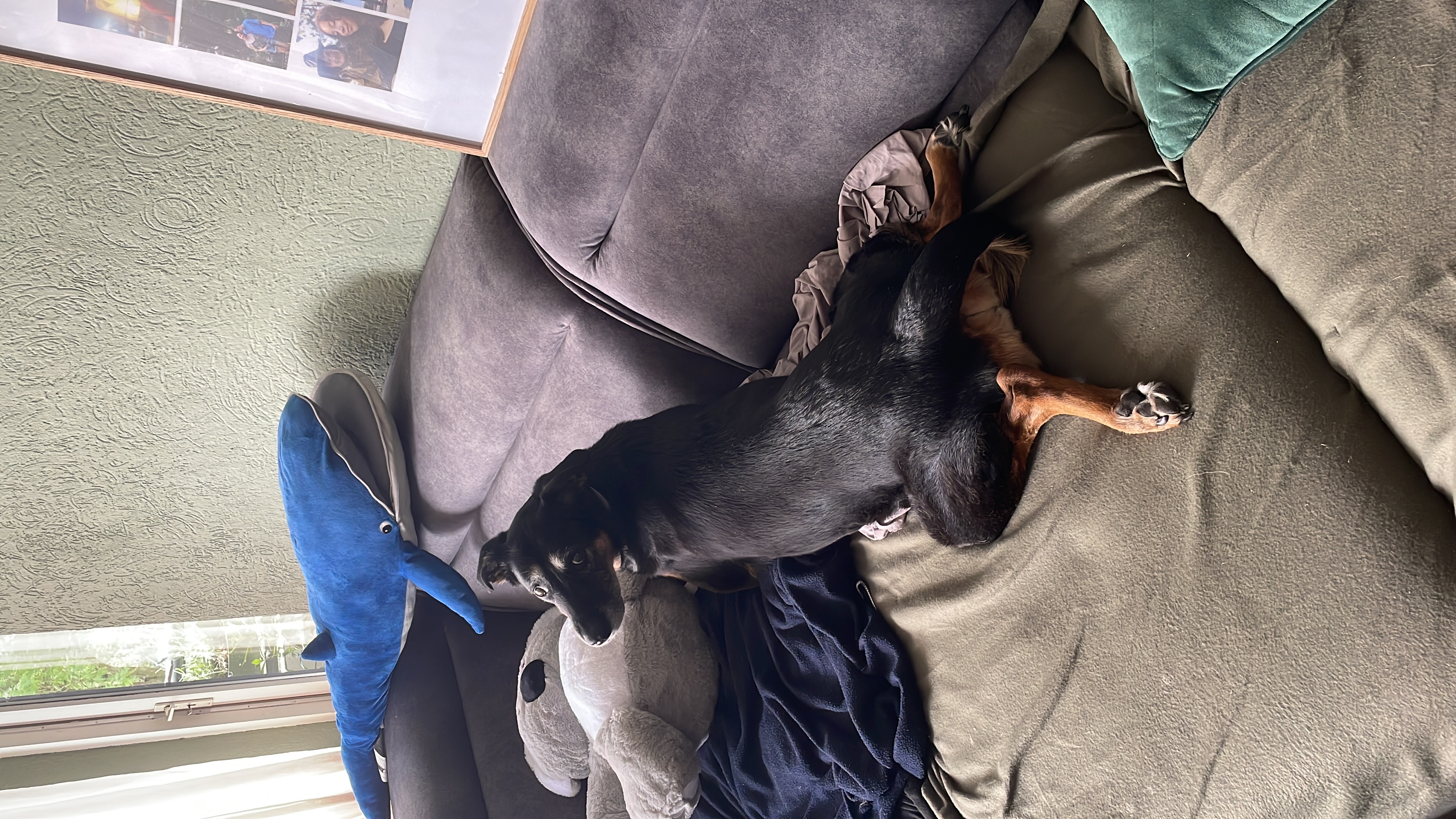 image-22