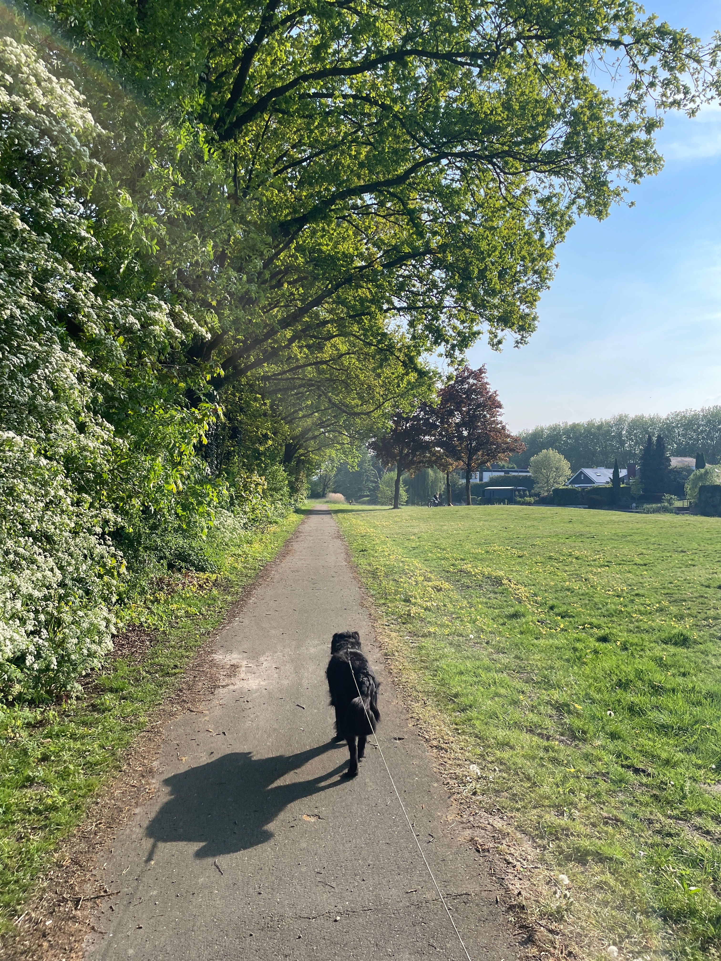 image-21