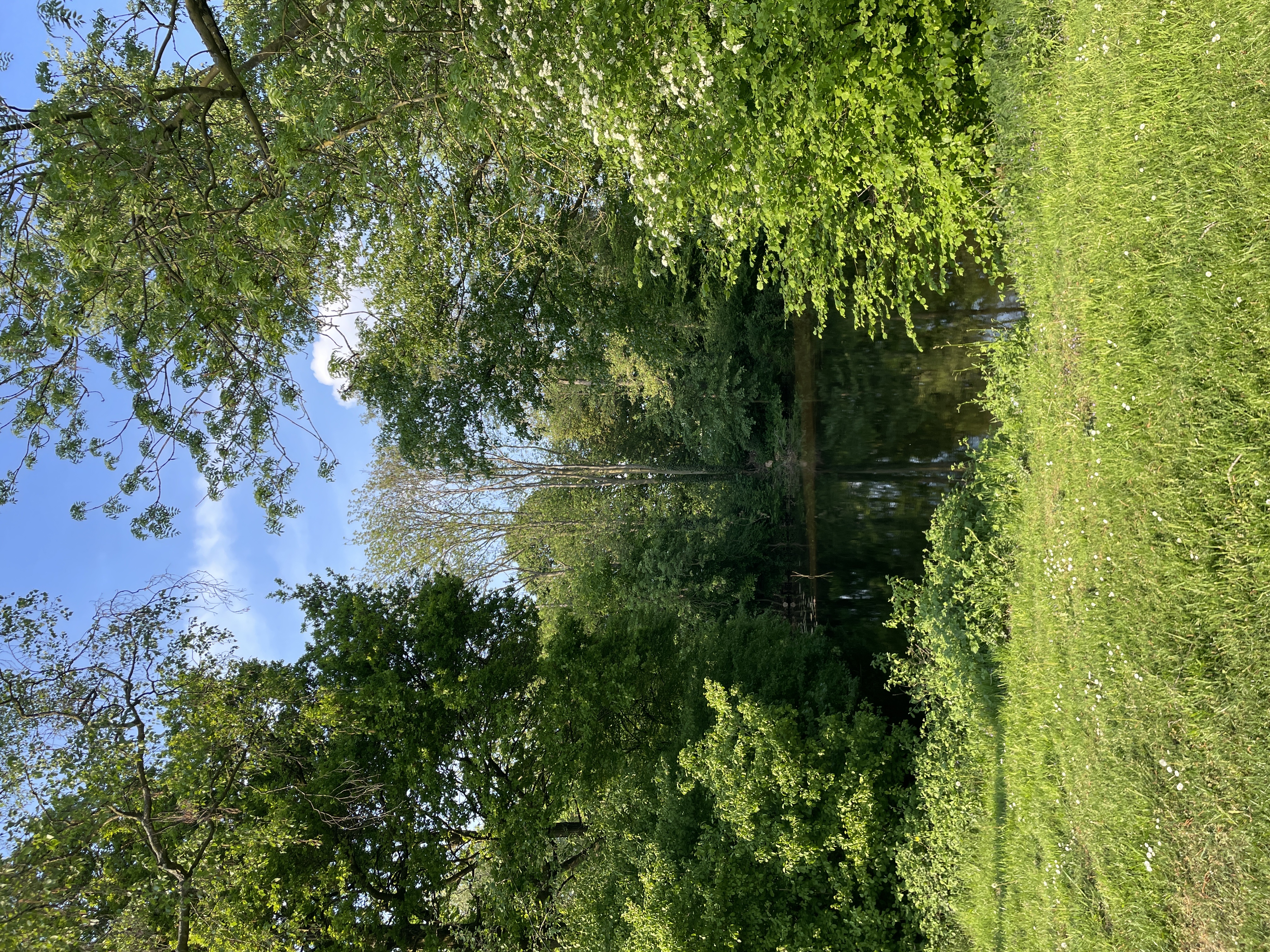 image-20