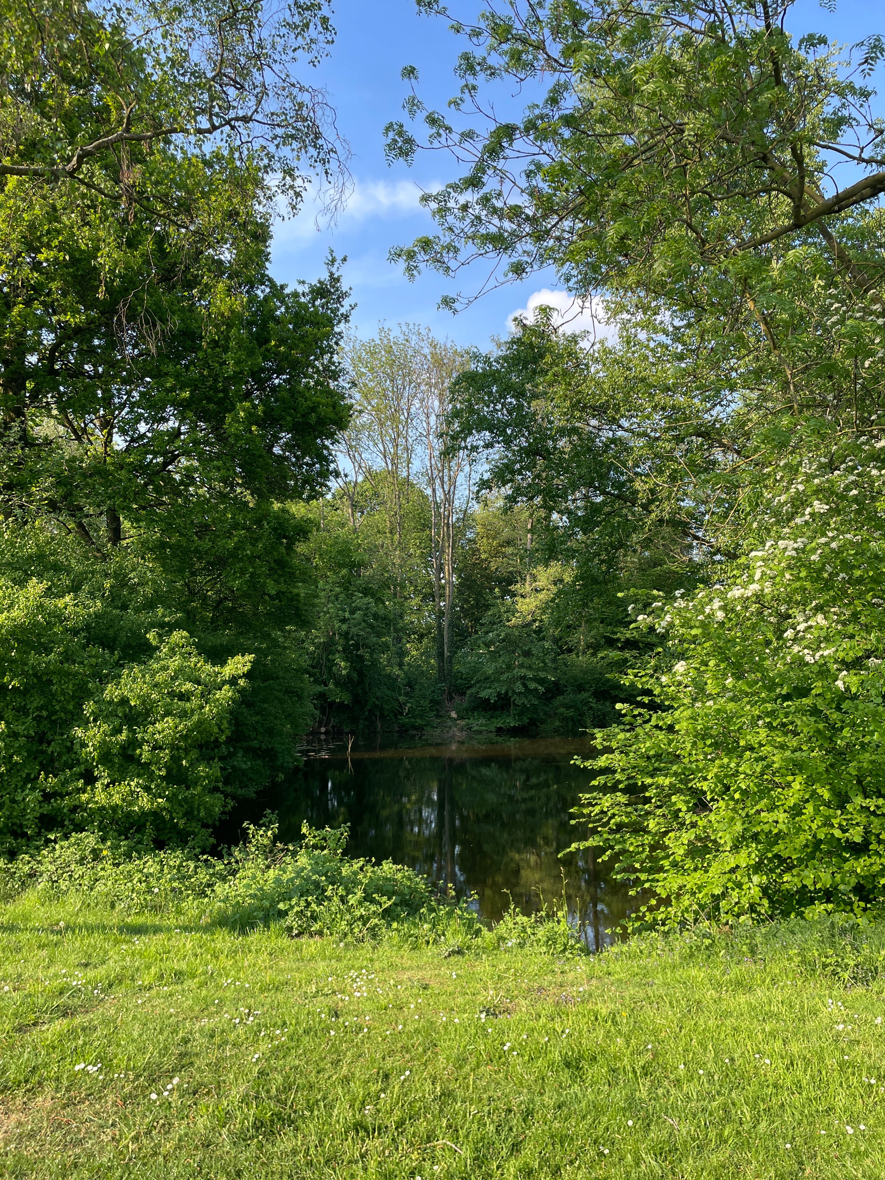image-20