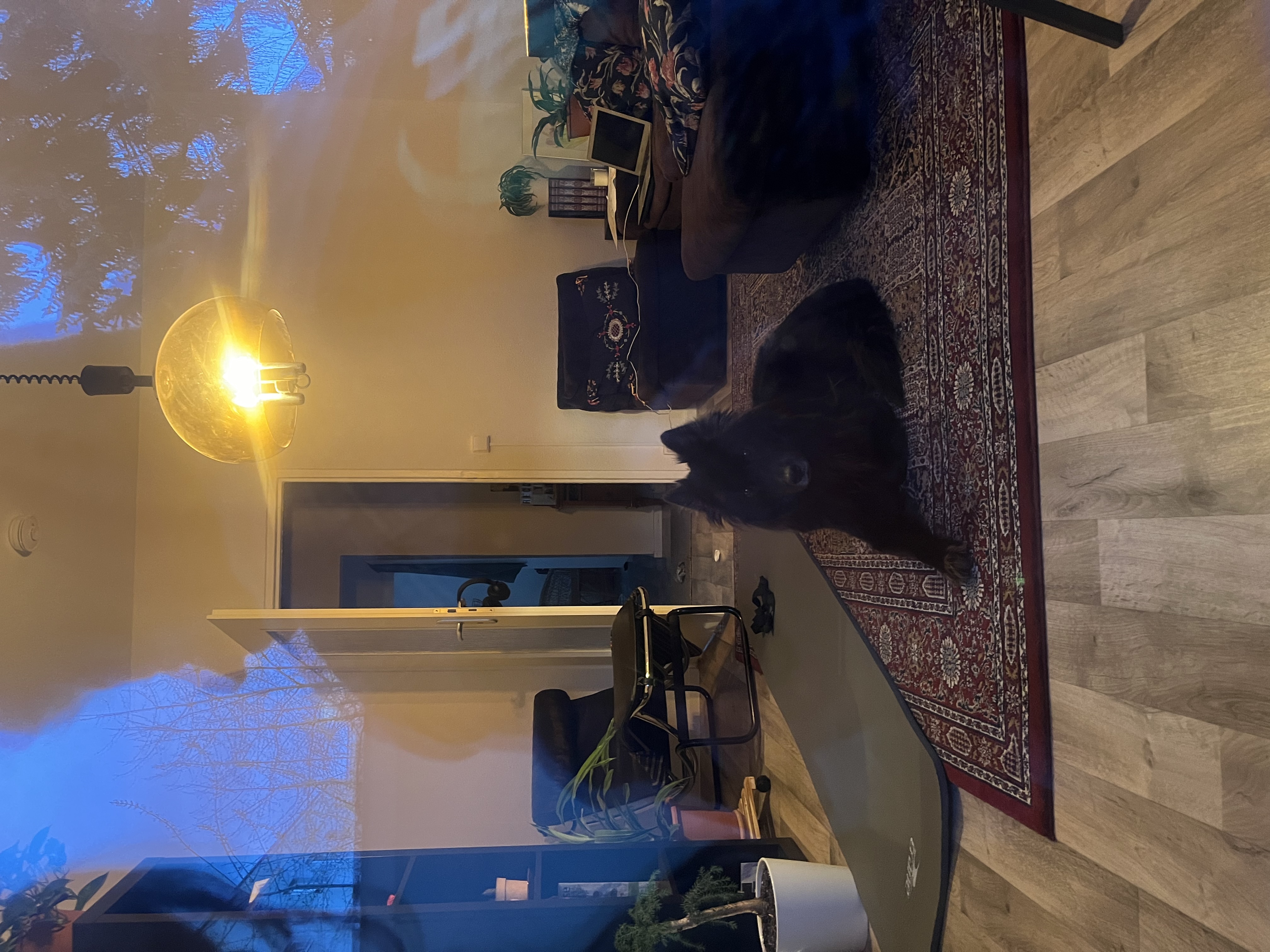 image-11
