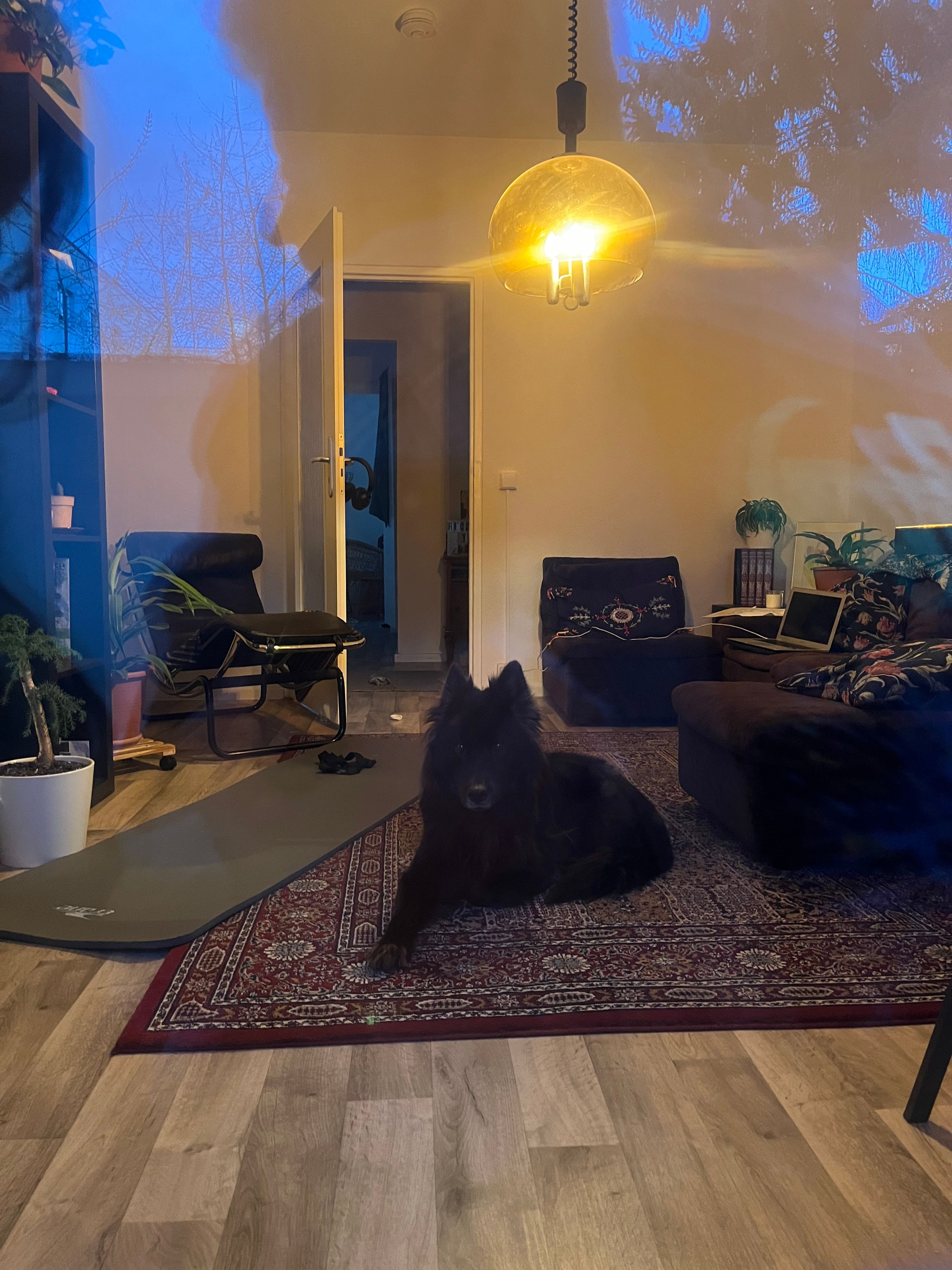 image-11