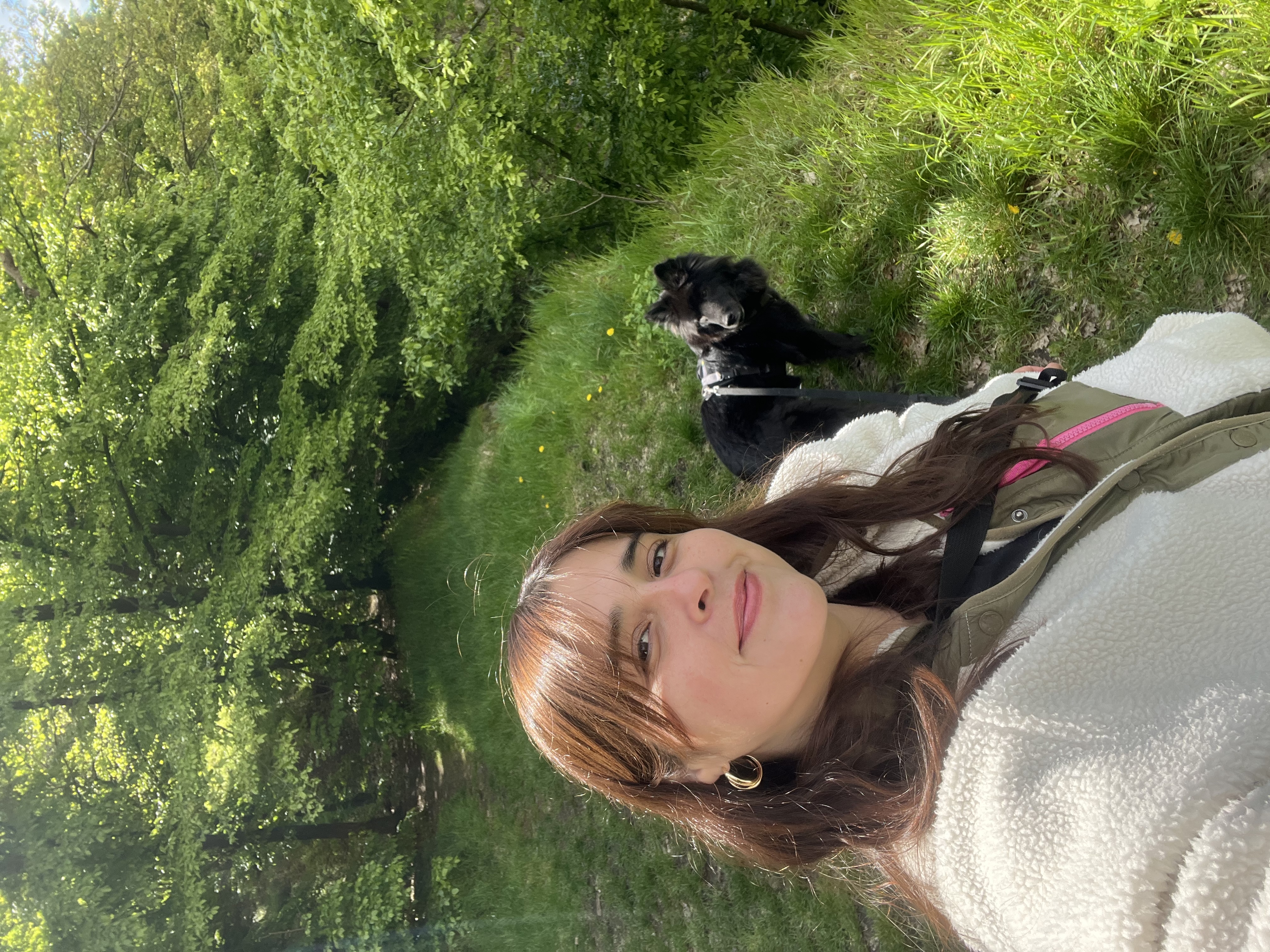 image-3