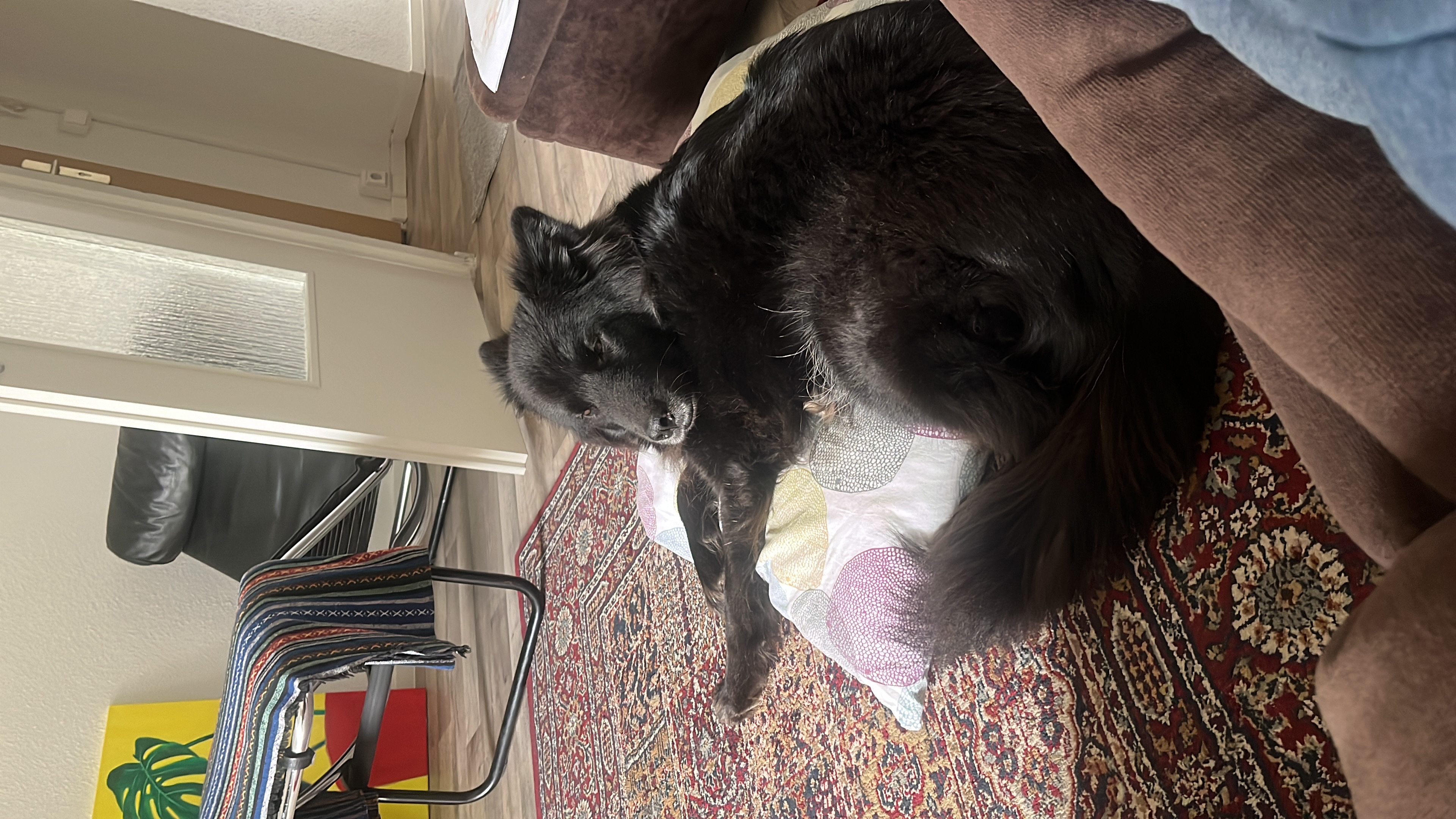 image-7