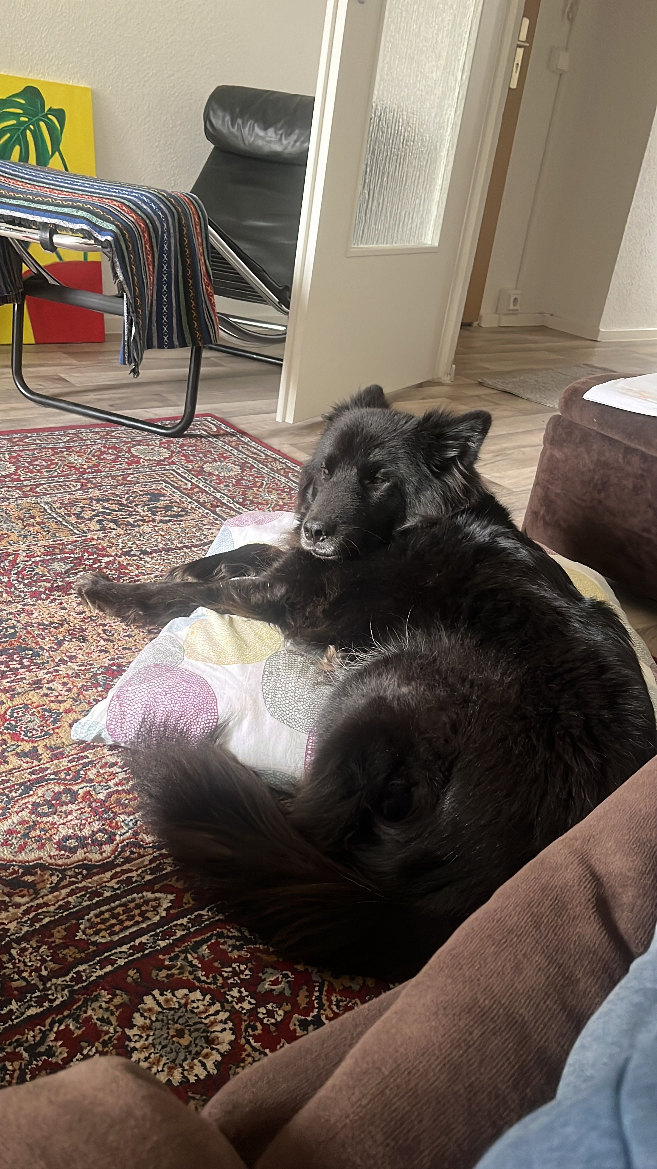 image-7