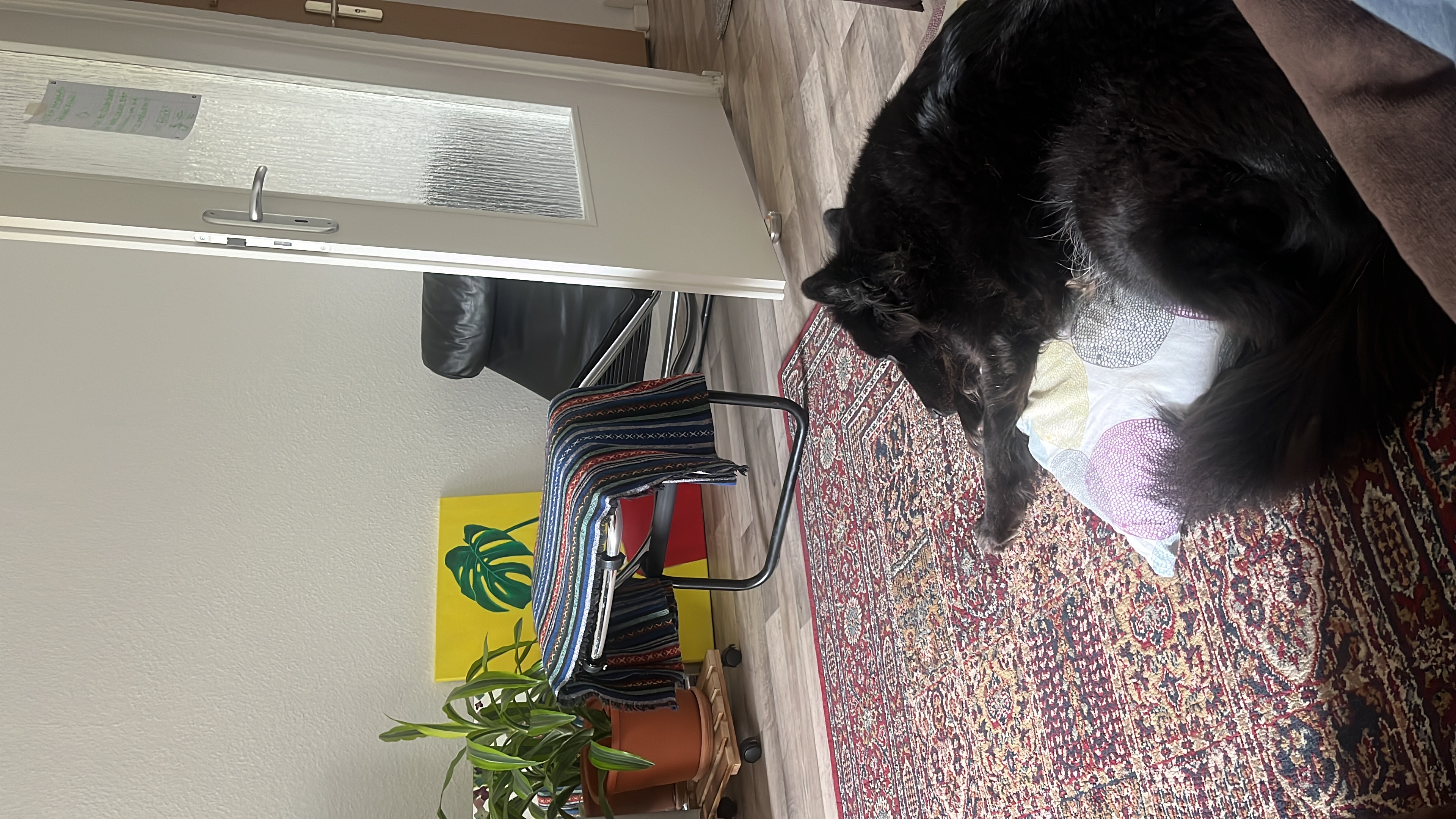 image-18
